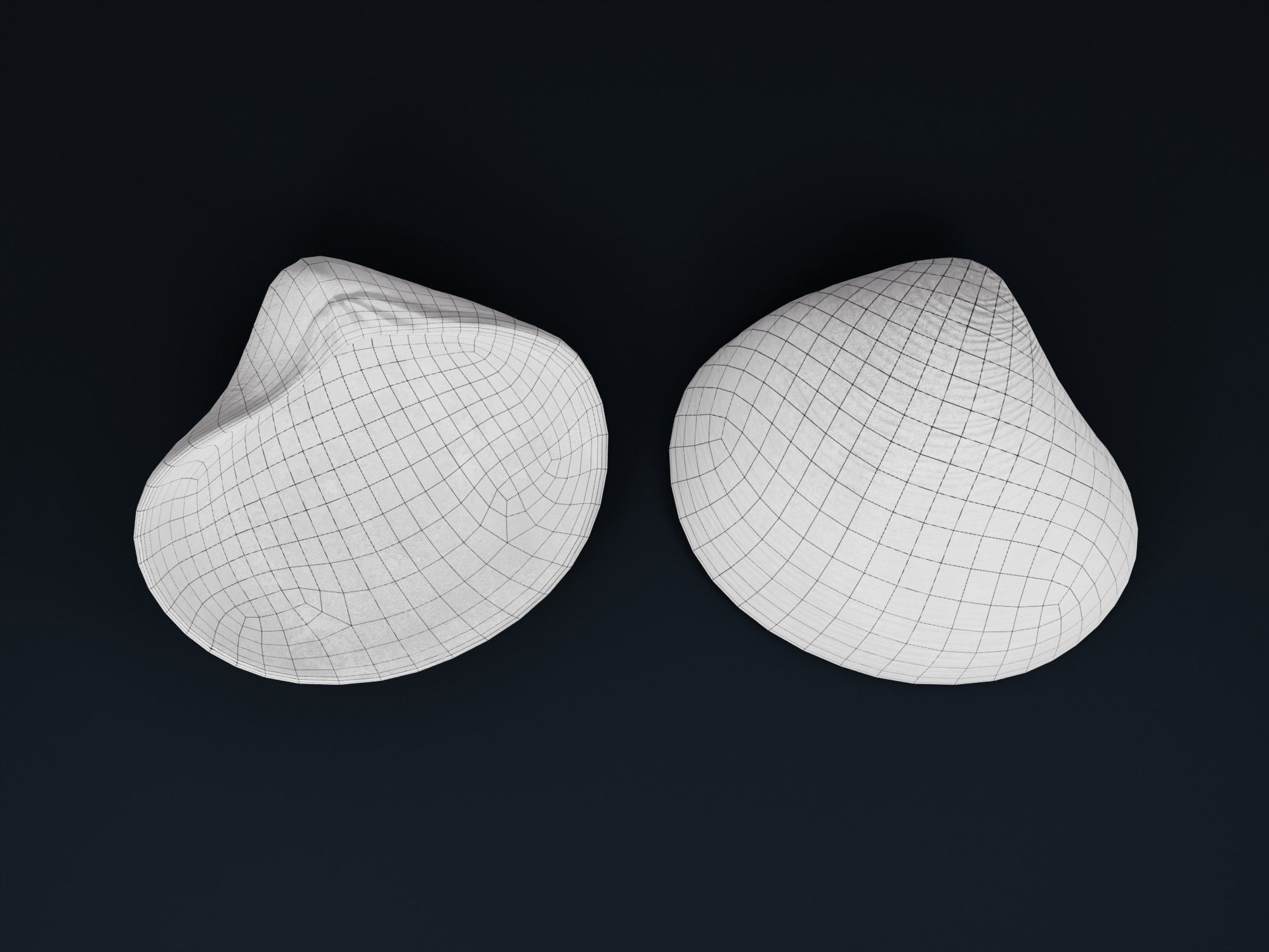 Low Poly Sea Shells Pack with Unreal Engine 5 Project Low-poly 3D model_33