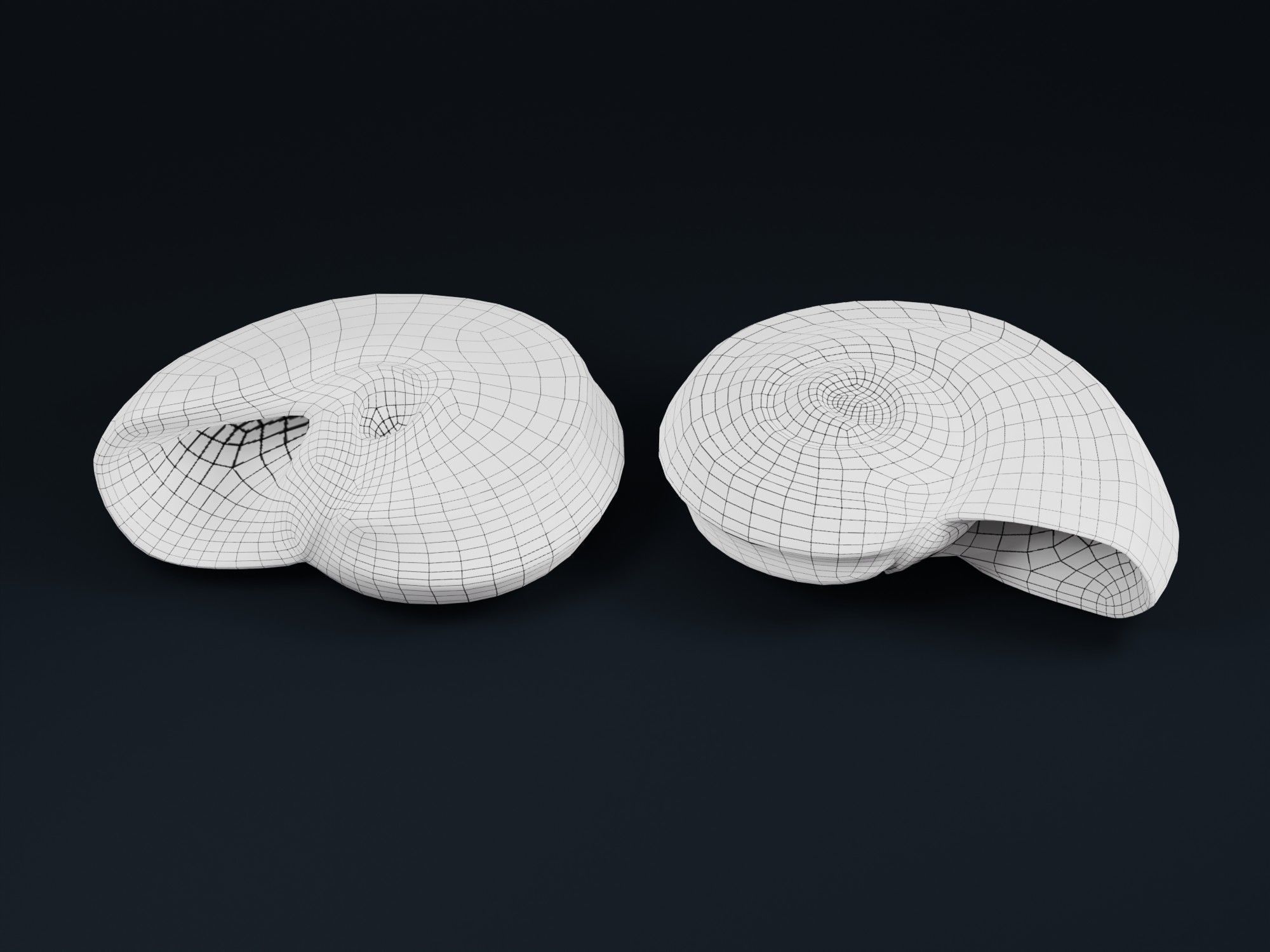Low Poly Sea Shells Pack with Unreal Engine 5 Project Low-poly 3D model_30