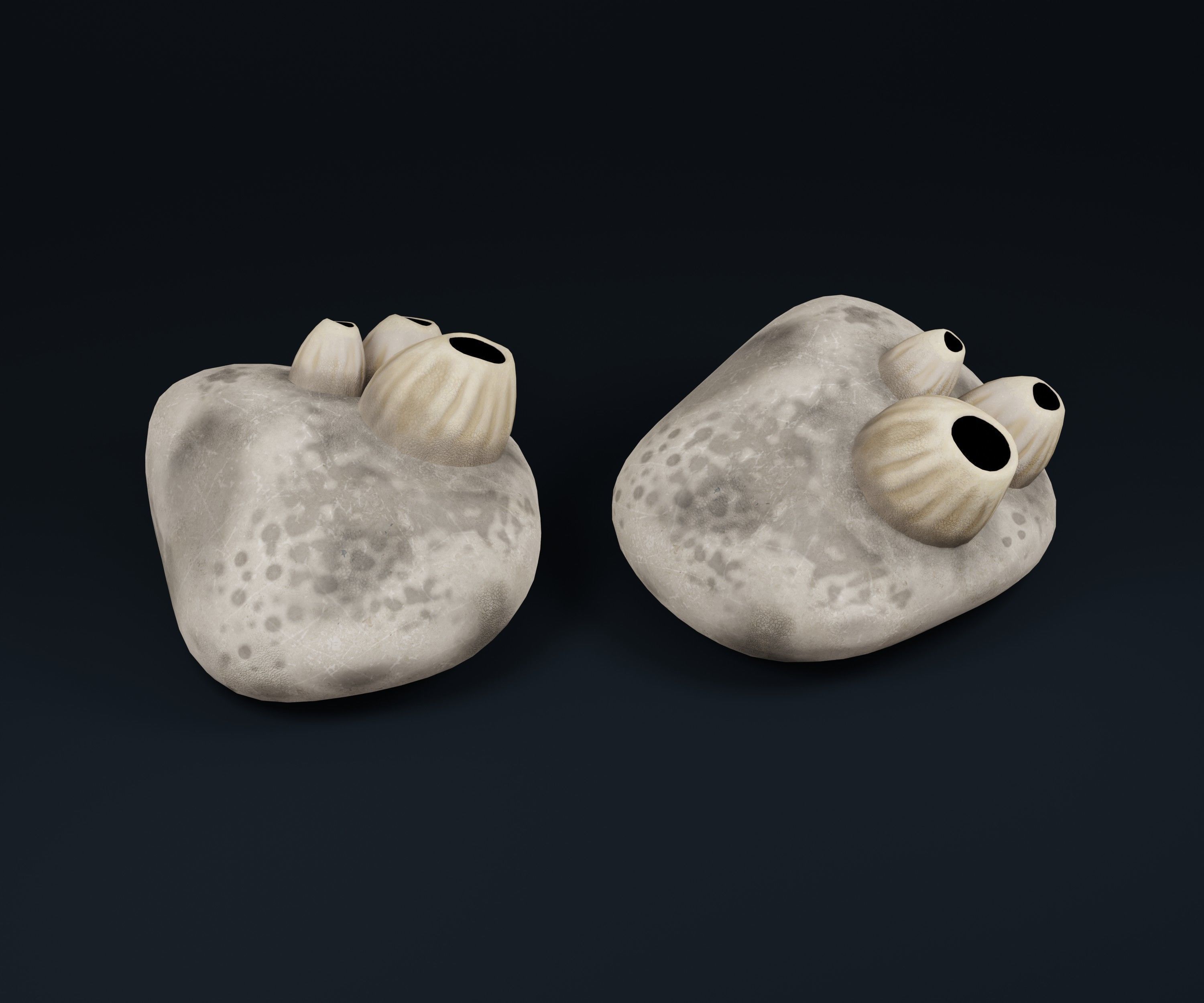Low Poly Sea Shells Pack with Unreal Engine 5 Project Low-poly 3D model_20