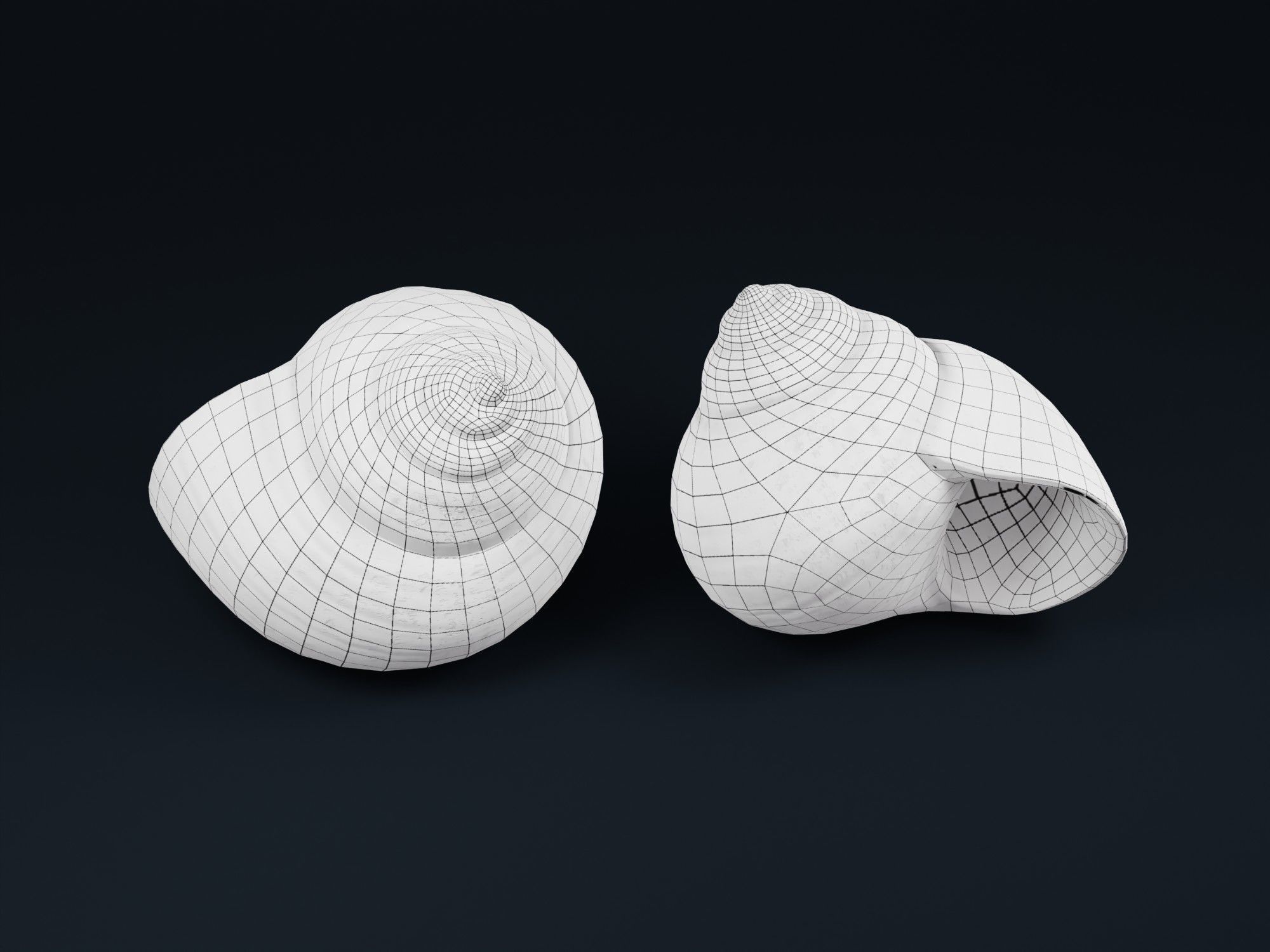 Low Poly Sea Shells Pack with Unreal Engine 5 Project Low-poly 3D model_29