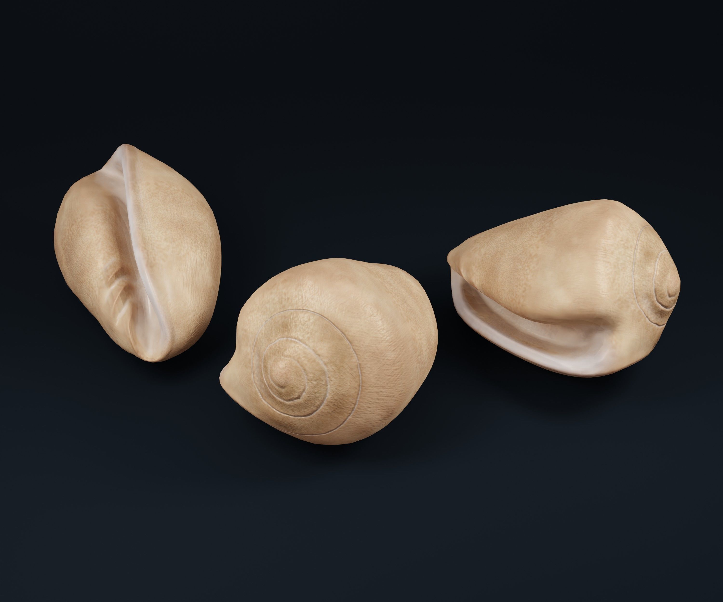 Low Poly Sea Shells Pack with Unreal Engine 5 Project Low-poly 3D model_7