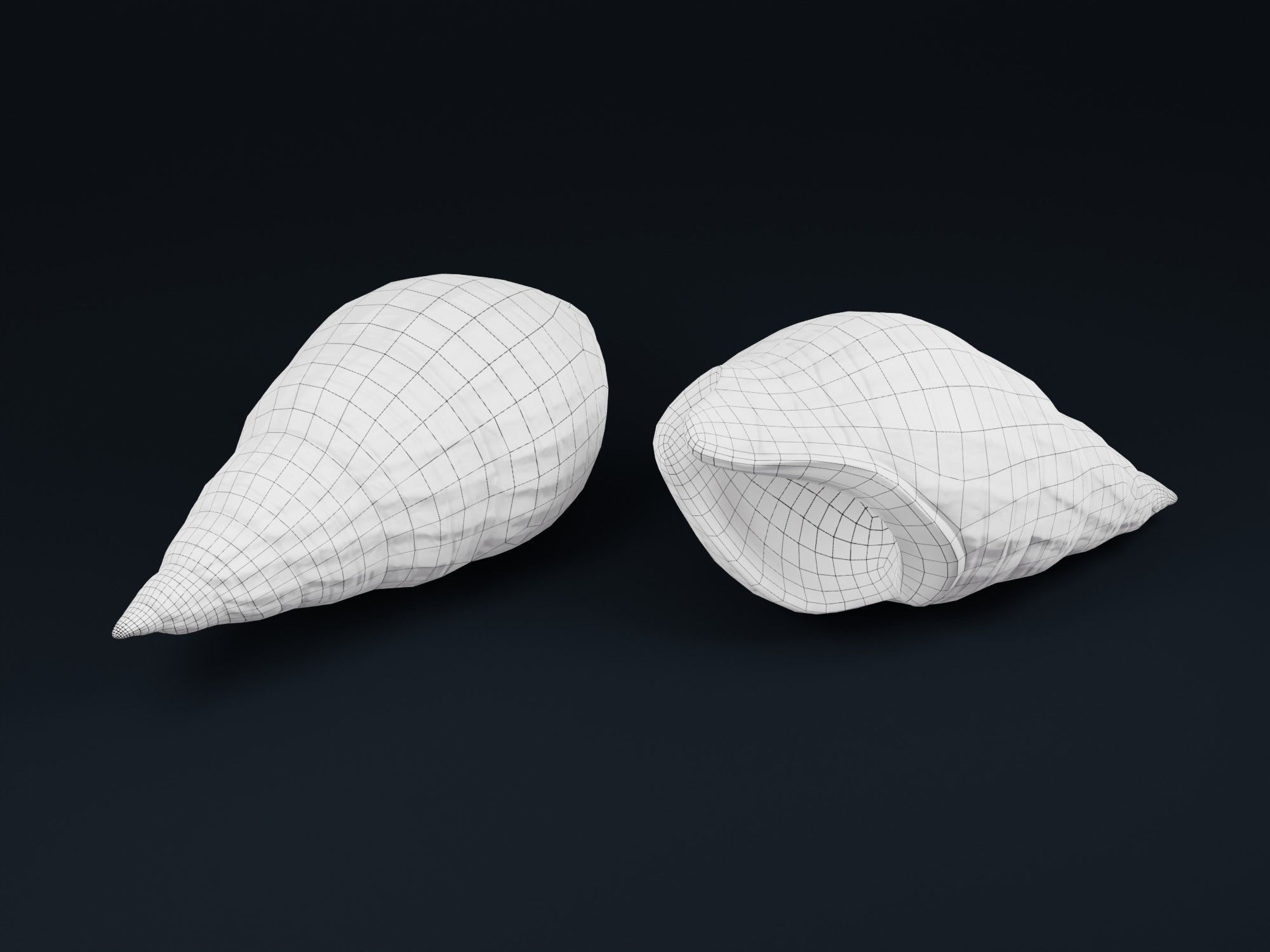 Low Poly Sea Shells Pack with Unreal Engine 5 Project Low-poly 3D model_28