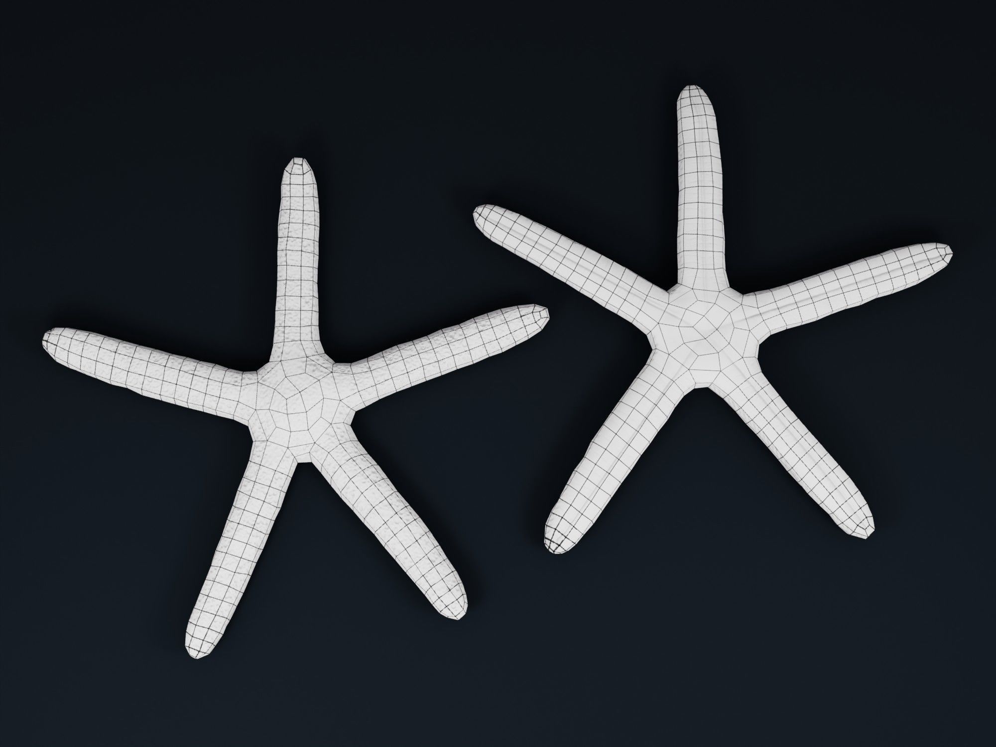 Low Poly Sea Shells Pack with Unreal Engine 5 Project Low-poly 3D model_36