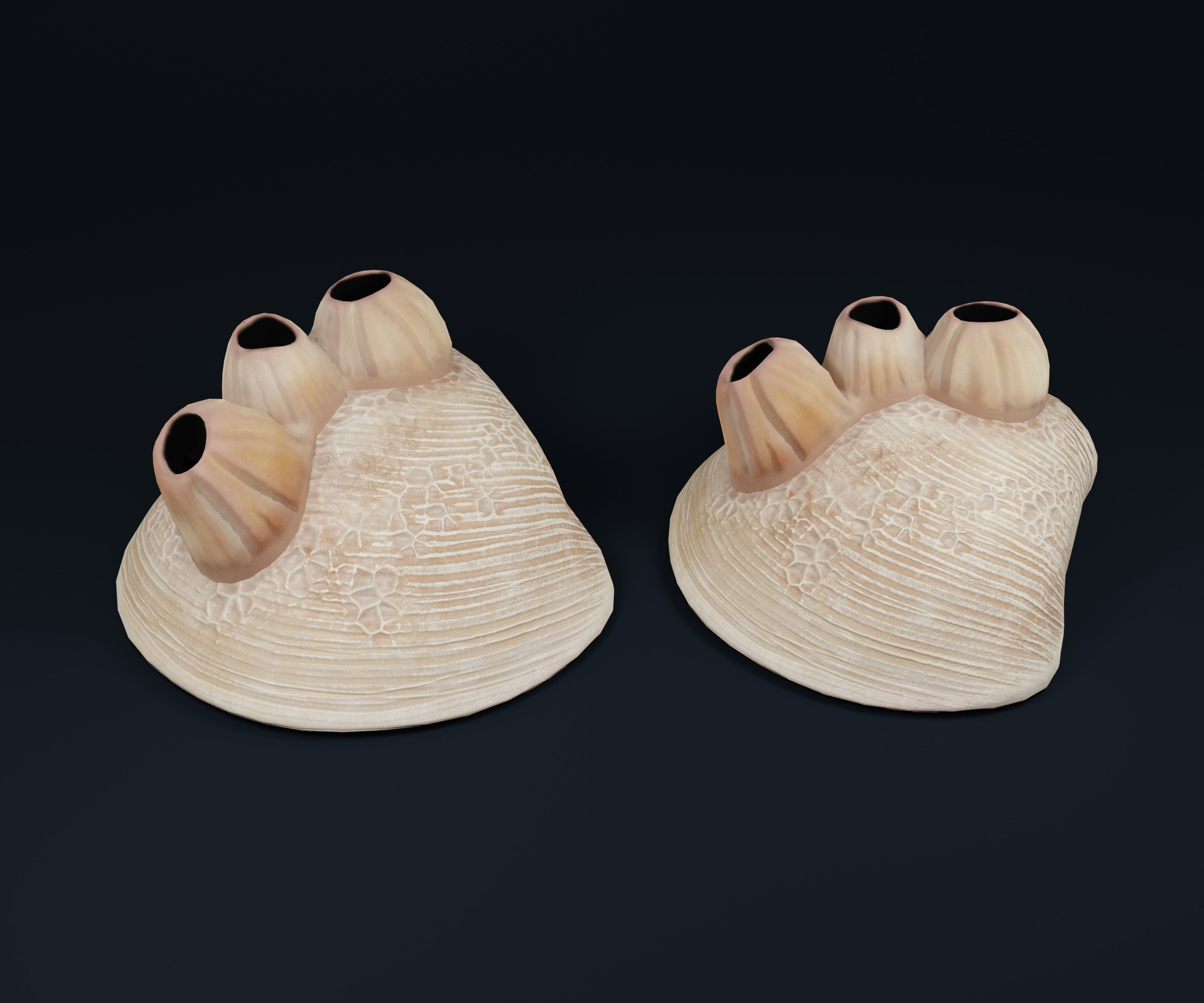 Low Poly Sea Shells Pack with Unreal Engine 5 Project Low-poly 3D model_16