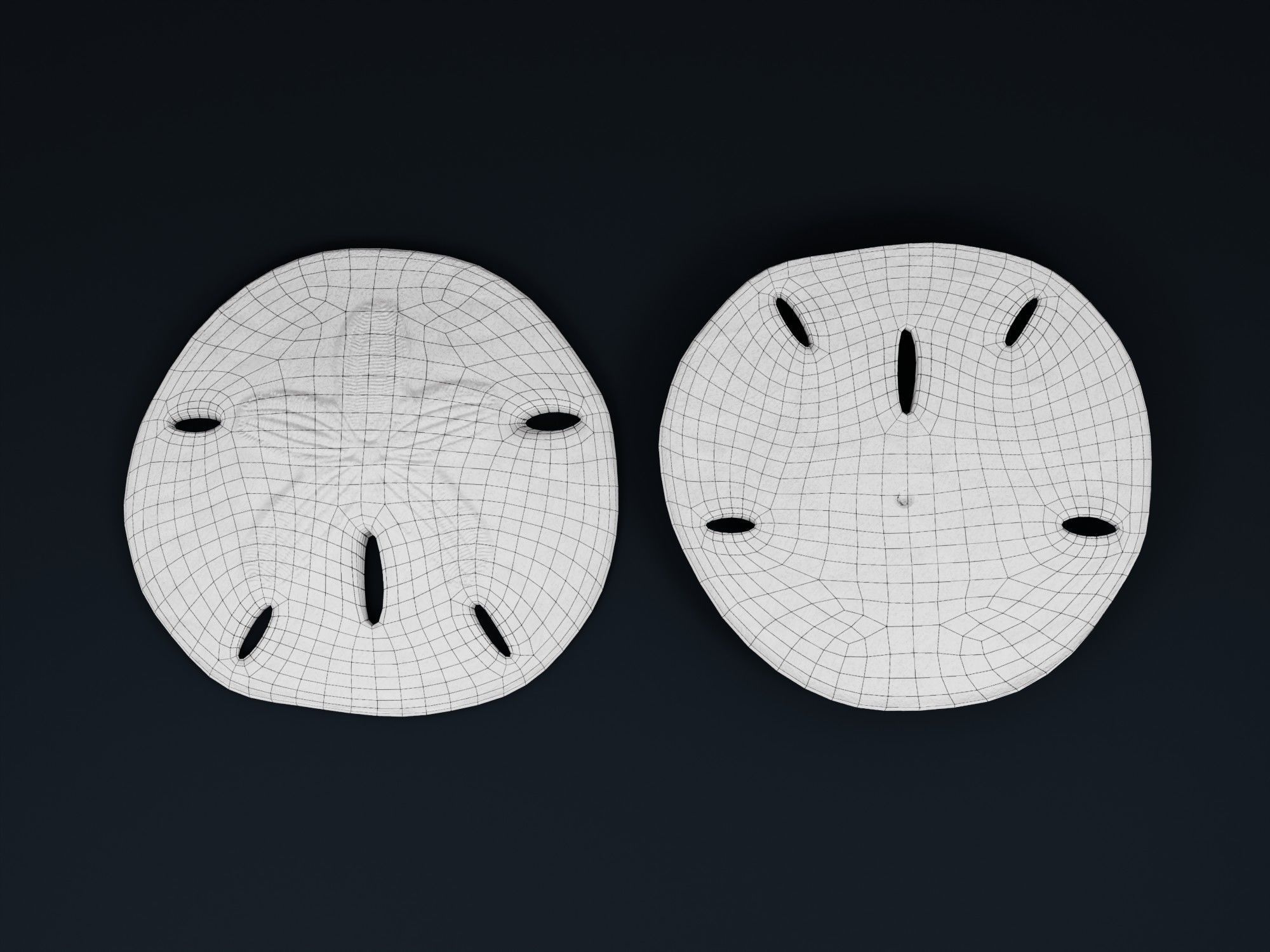 Low Poly Sea Shells Pack with Unreal Engine 5 Project Low-poly 3D model_35