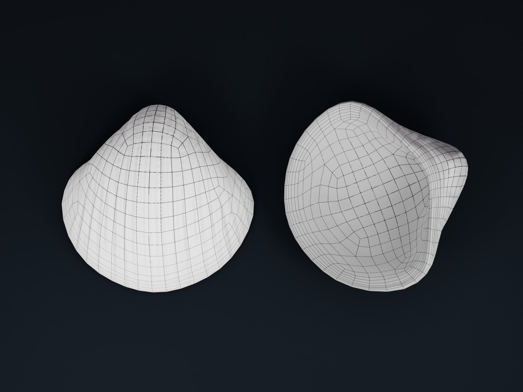 Low Poly Sea Shells Pack with Unreal Engine 5 Project Low-poly 3D model_31