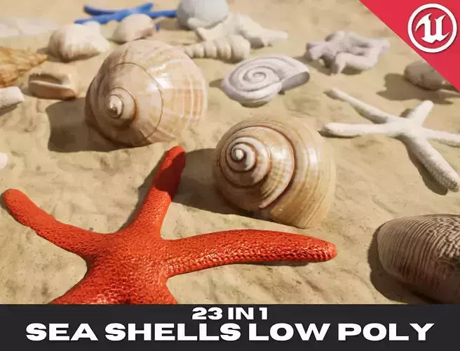 Low Poly Sea Shells Pack with Unreal Engine 5 Project Low-poly 3D model Low Poly Sea Shells Pack with Unreal Engine 5 Project Low-poly 3D model