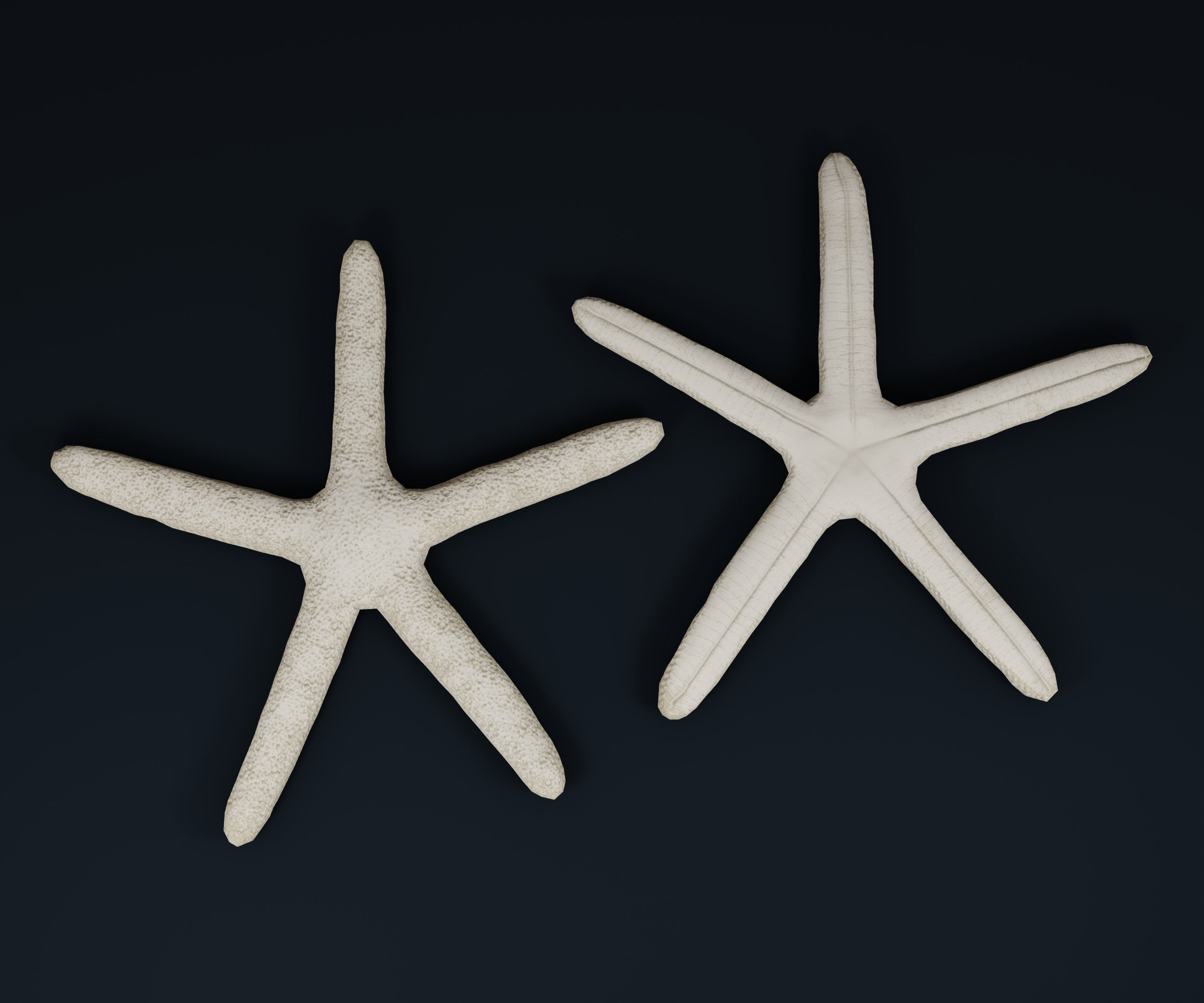 Low Poly Sea Shells Pack with Unreal Engine 5 Project Low-poly 3D model_14