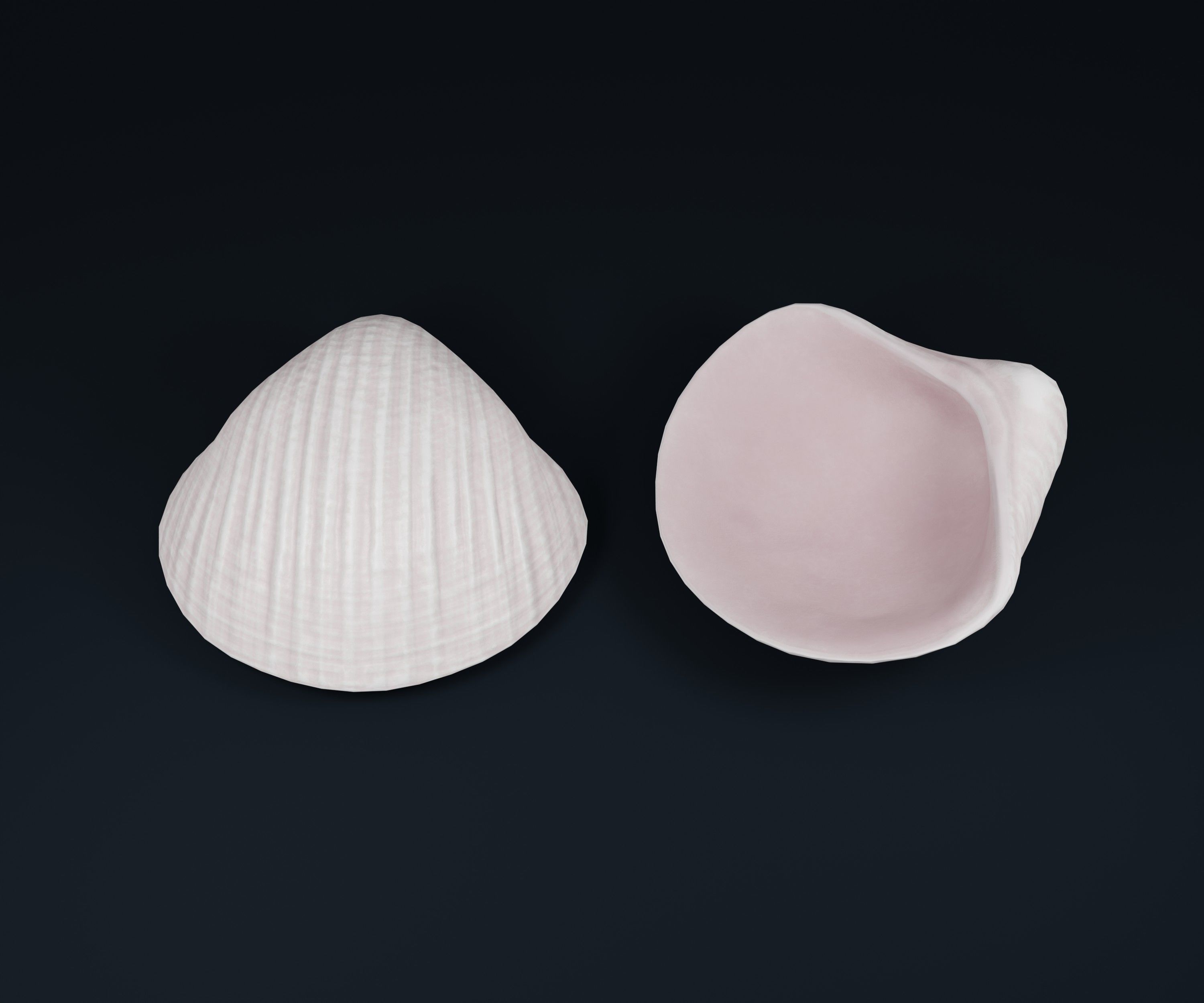 Low Poly Sea Shells Pack with Unreal Engine 5 Project Low-poly 3D model_24