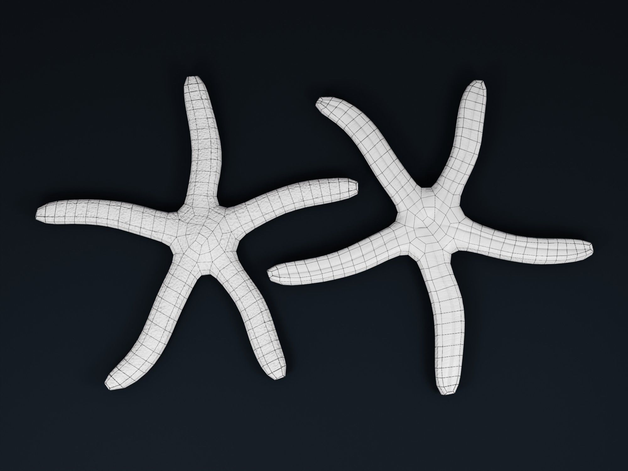 Low Poly Sea Shells Pack with Unreal Engine 5 Project Low-poly 3D model_39