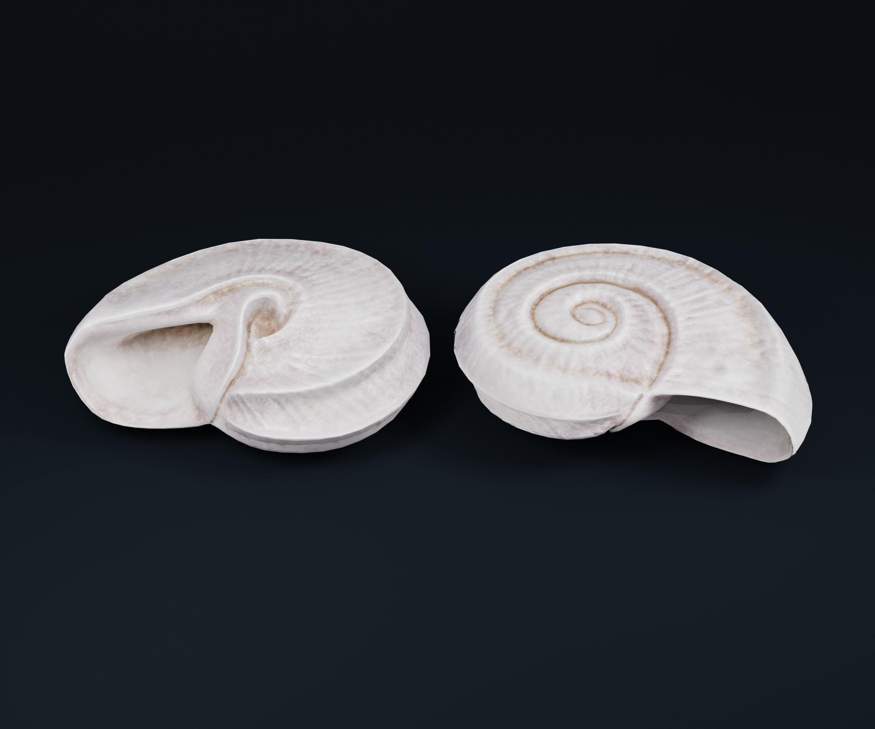 Low Poly Sea Shells Pack with Unreal Engine 5 Project Low-poly 3D model_18