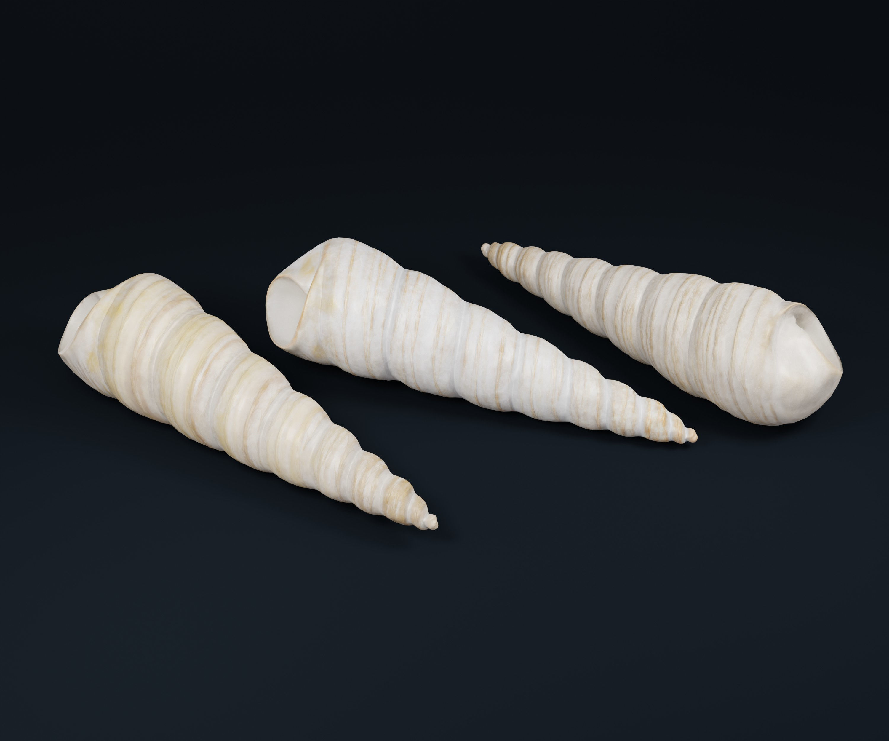 Low Poly Sea Shells Pack with Unreal Engine 5 Project Low-poly 3D model_12
