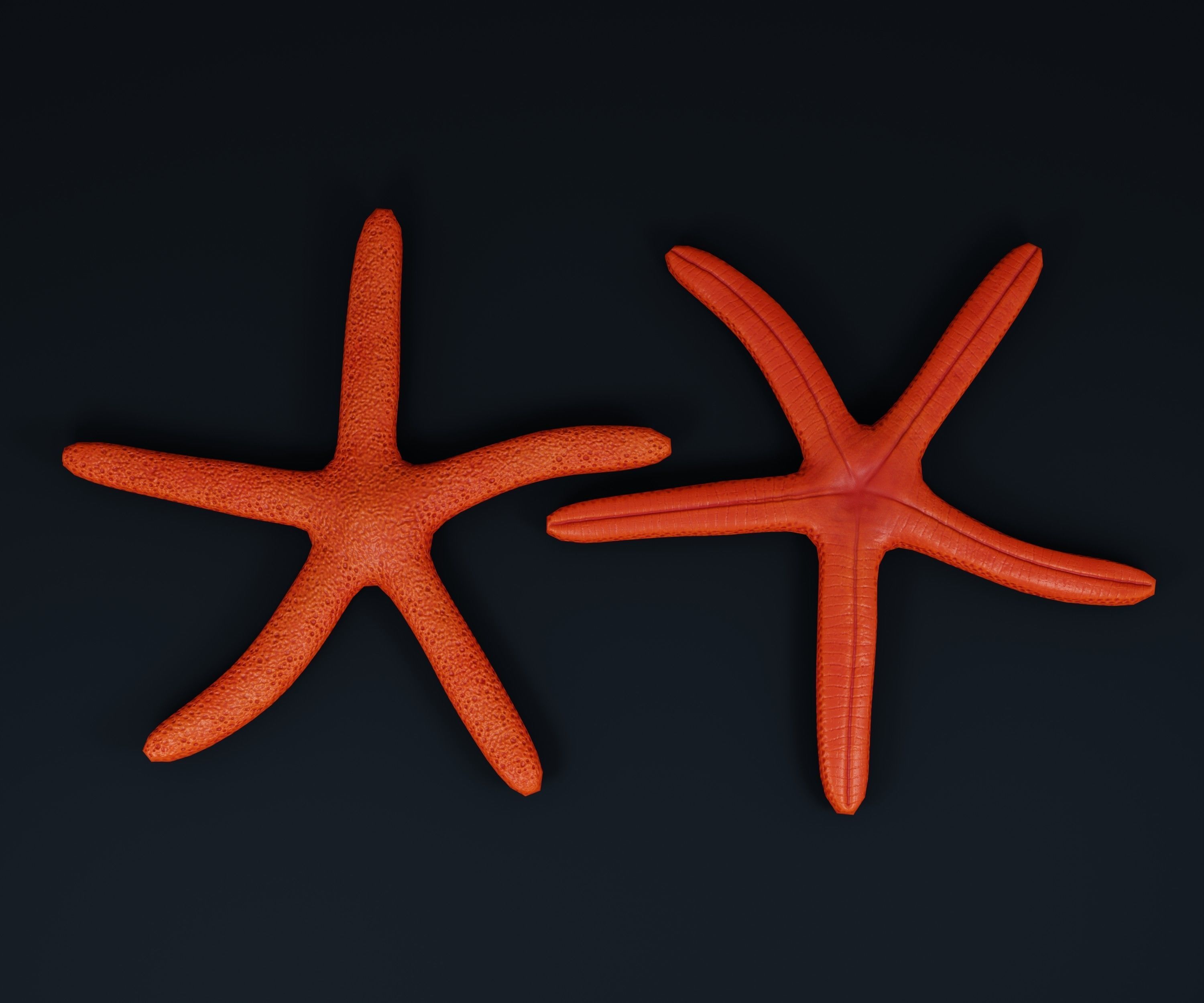Low Poly Sea Shells Pack with Unreal Engine 5 Project Low-poly 3D model_3
