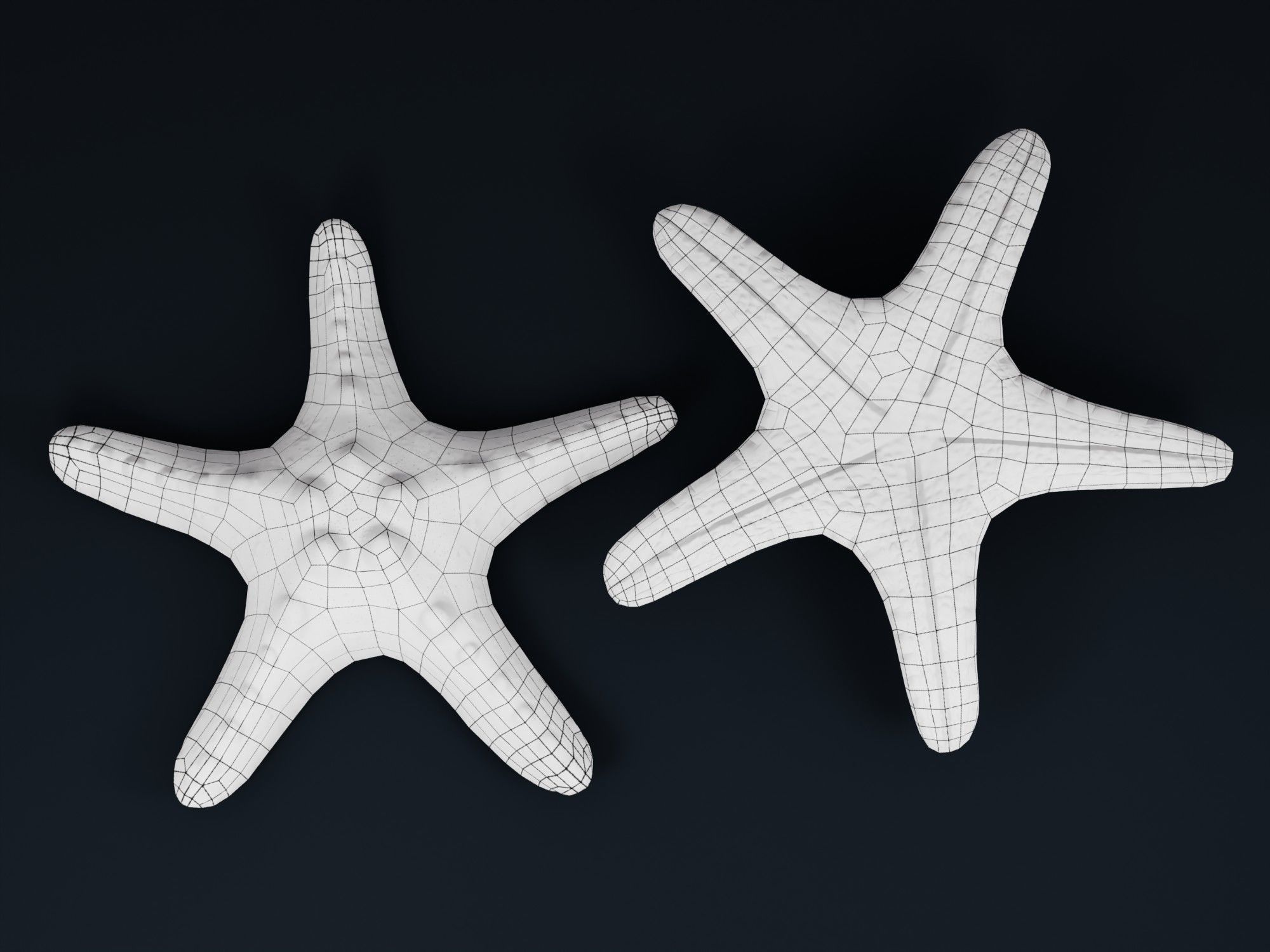 Low Poly Sea Shells Pack with Unreal Engine 5 Project Low-poly 3D model_37