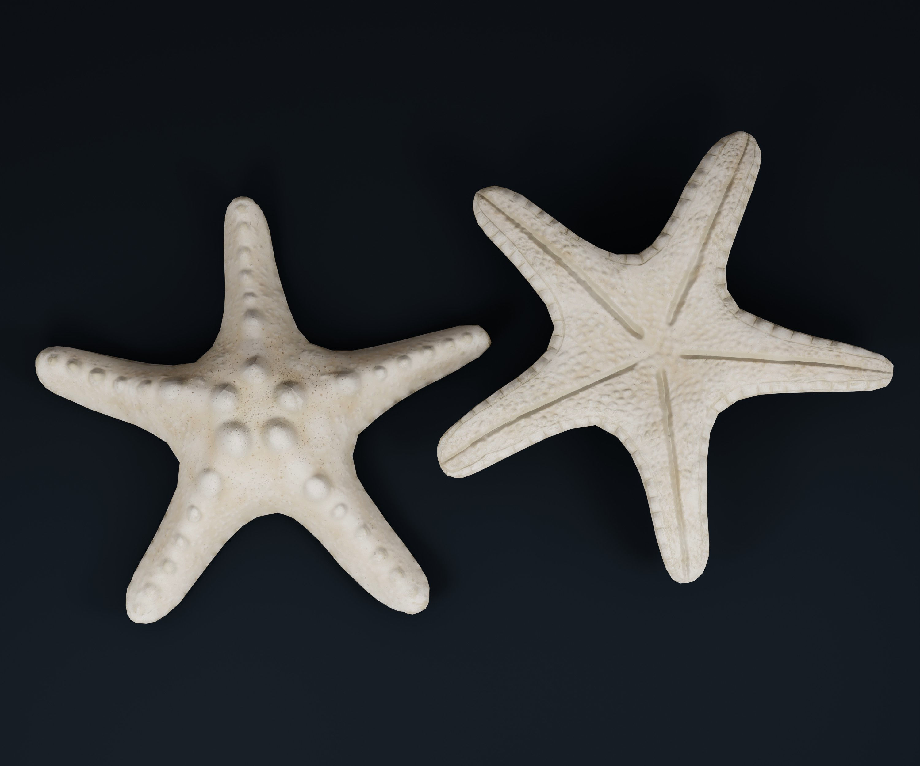 Low Poly Sea Shells Pack with Unreal Engine 5 Project Low-poly 3D model_8