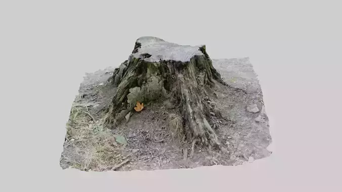 Tree Stump - Photoscan 3D model - Varying LOD Free low-poly 3D model