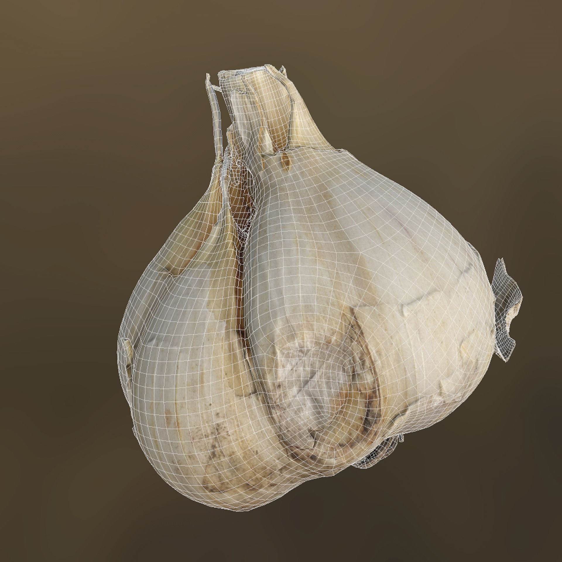 Garlic and a clove of garlic Low-poly 3D model_5