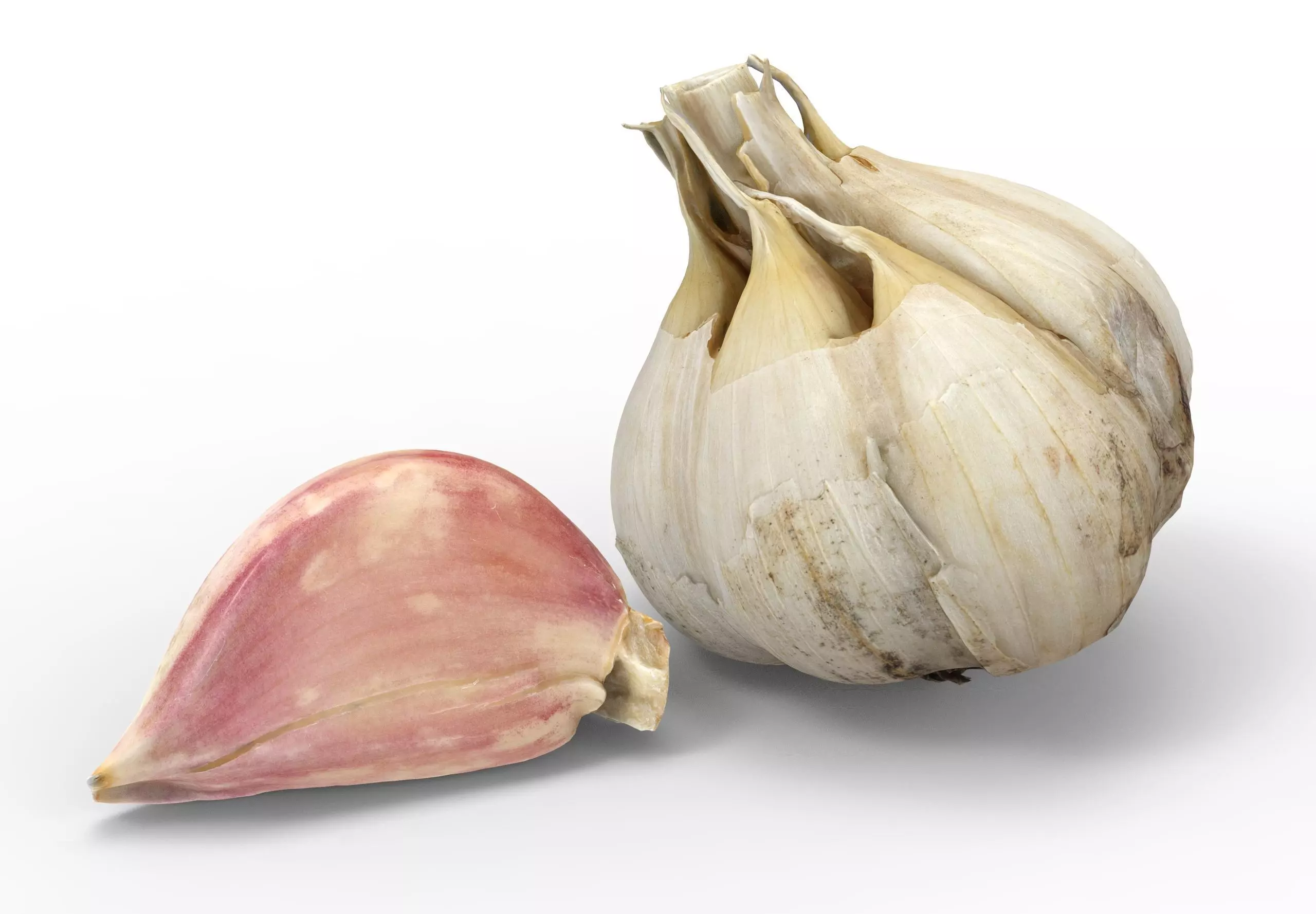 Garlic and a clove of garlic Low-poly 3D model_2