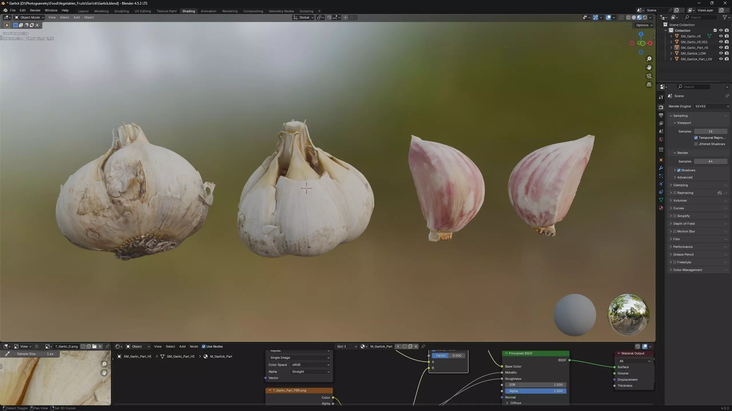 Garlic and a clove of garlic Low-poly 3D model_4