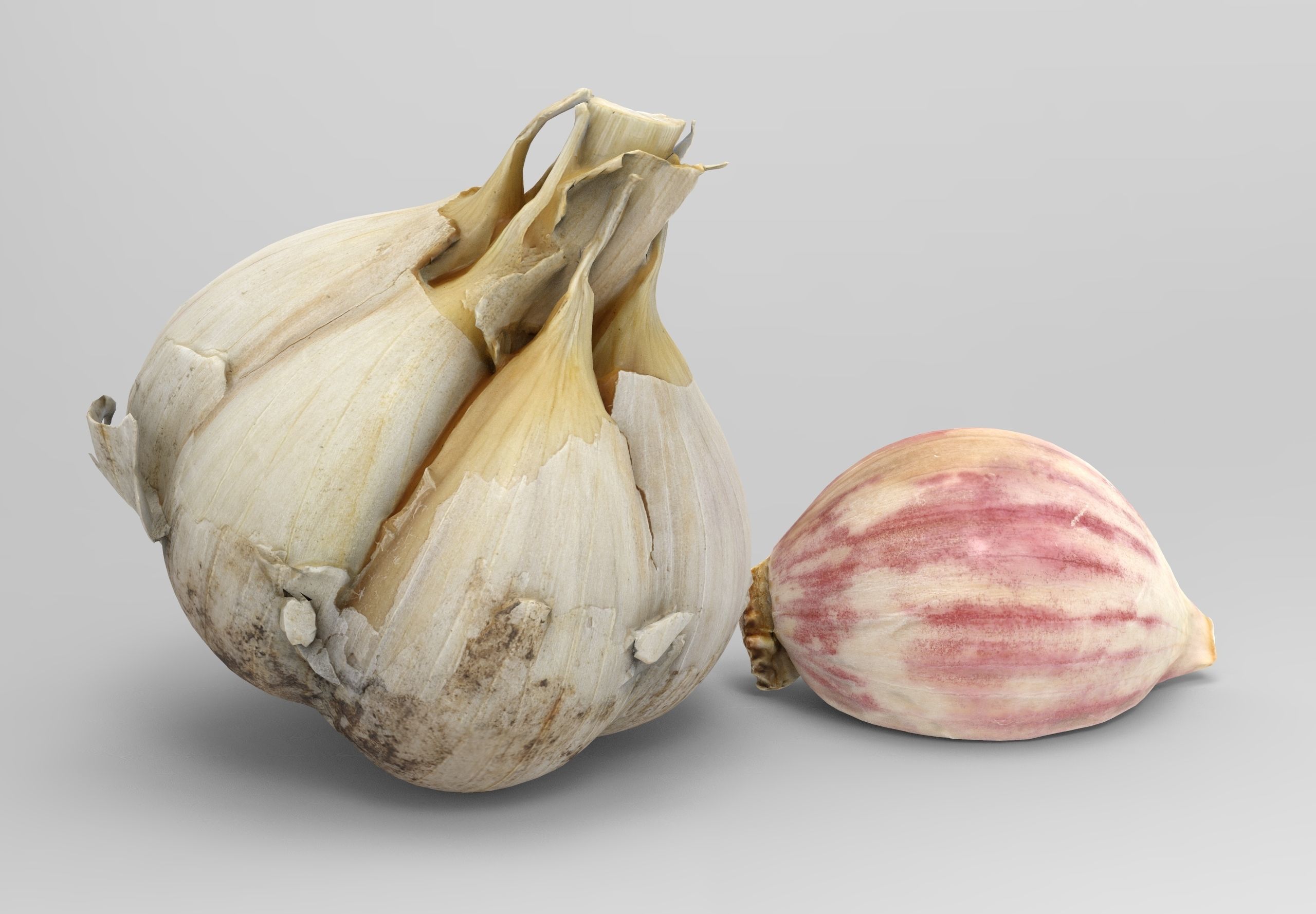 Garlic and a clove of garlic Low-poly 3D model_0