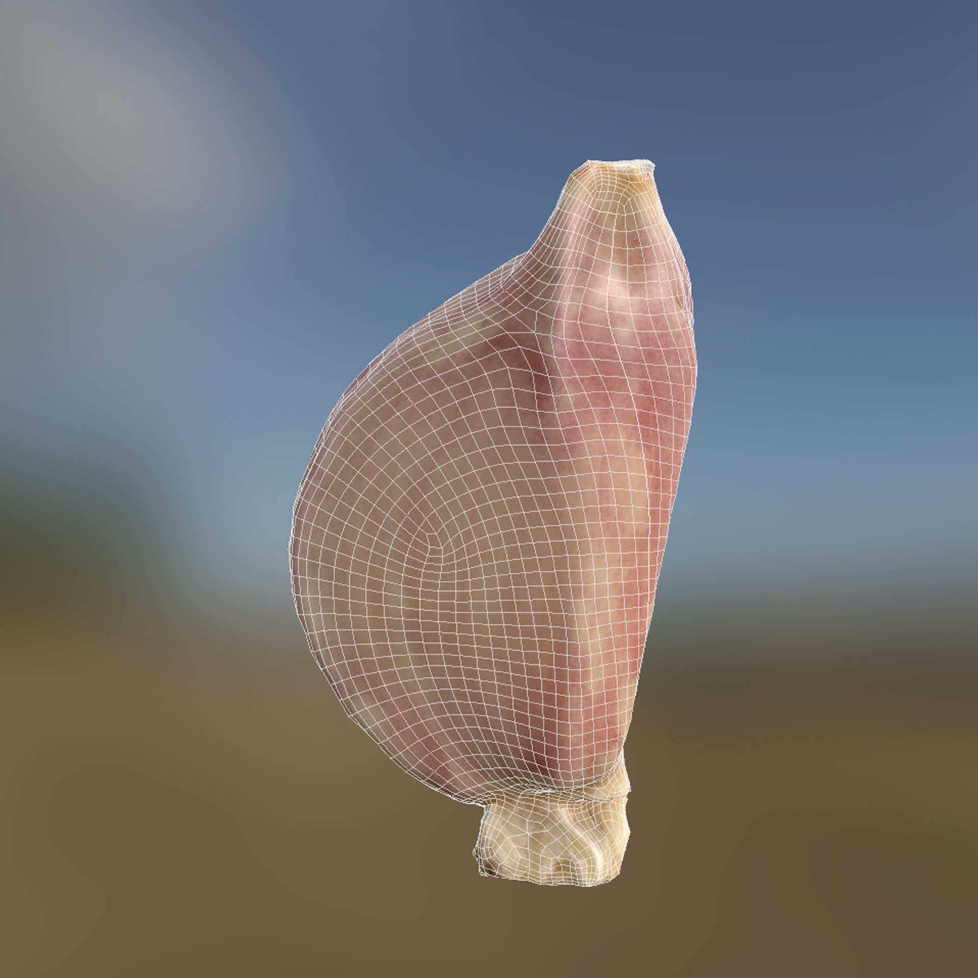 Garlic and a clove of garlic Low-poly 3D model_6
