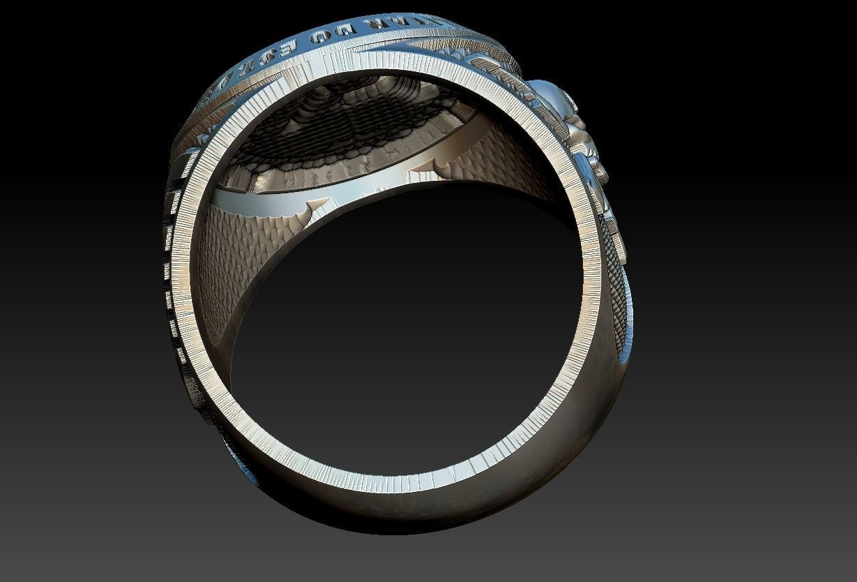 Policia Militar de Sao Paulo - Forca Tatica Ring 3D print model_17