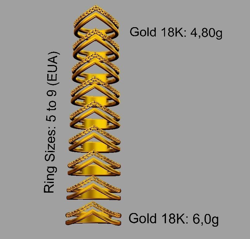 Double Ring 3D print model_6