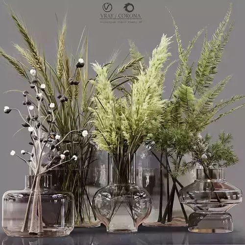 Collection Indoor Plants 03