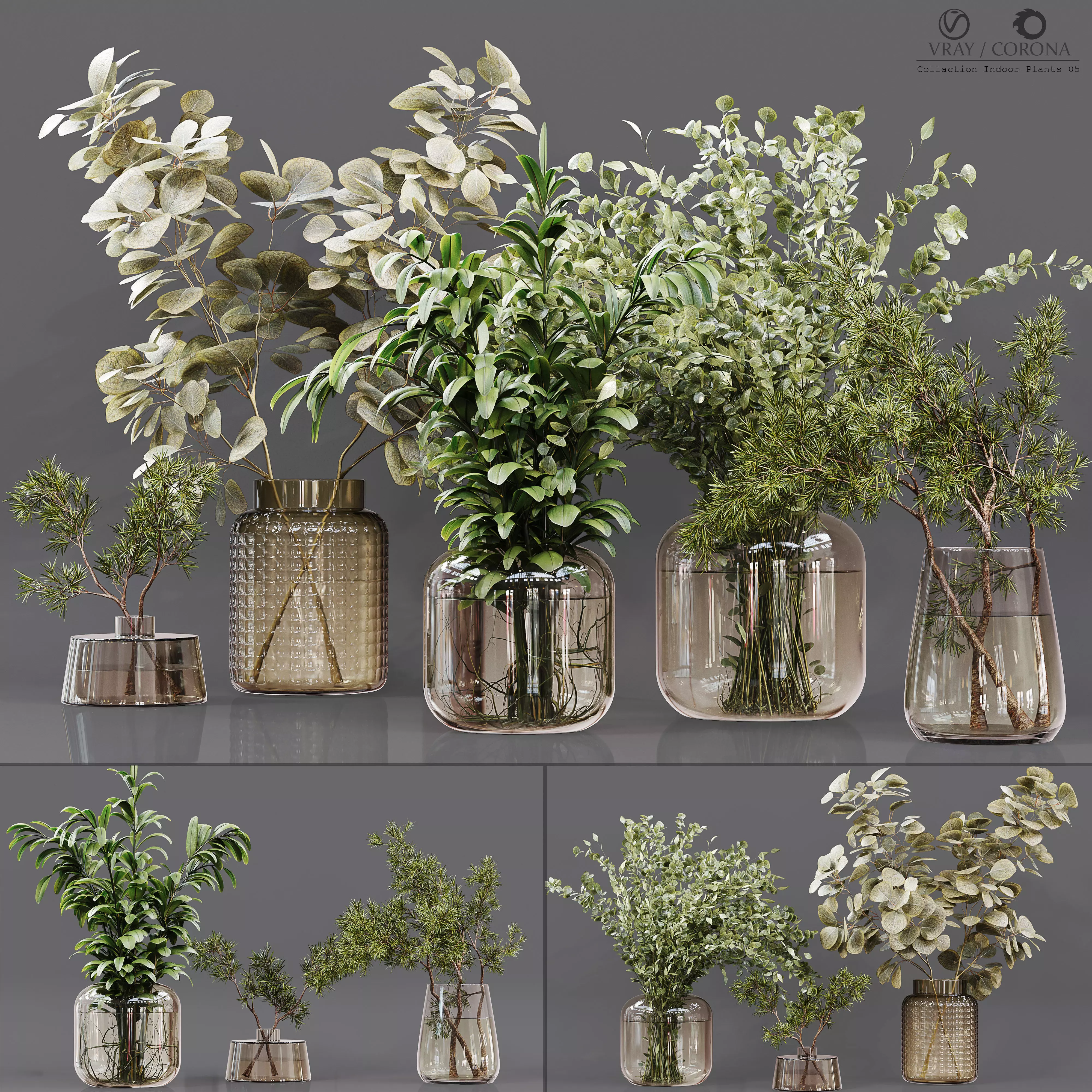 Collection Indoor Plants 05 3D model
