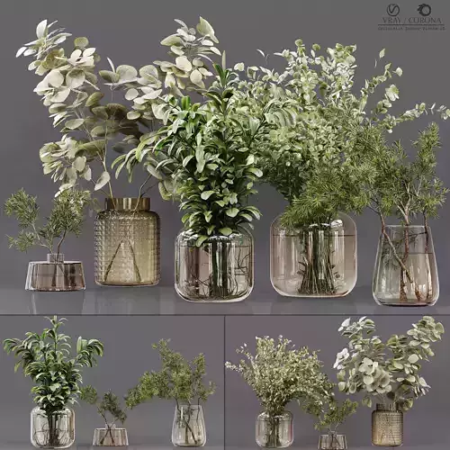 Collection Indoor Plants 05