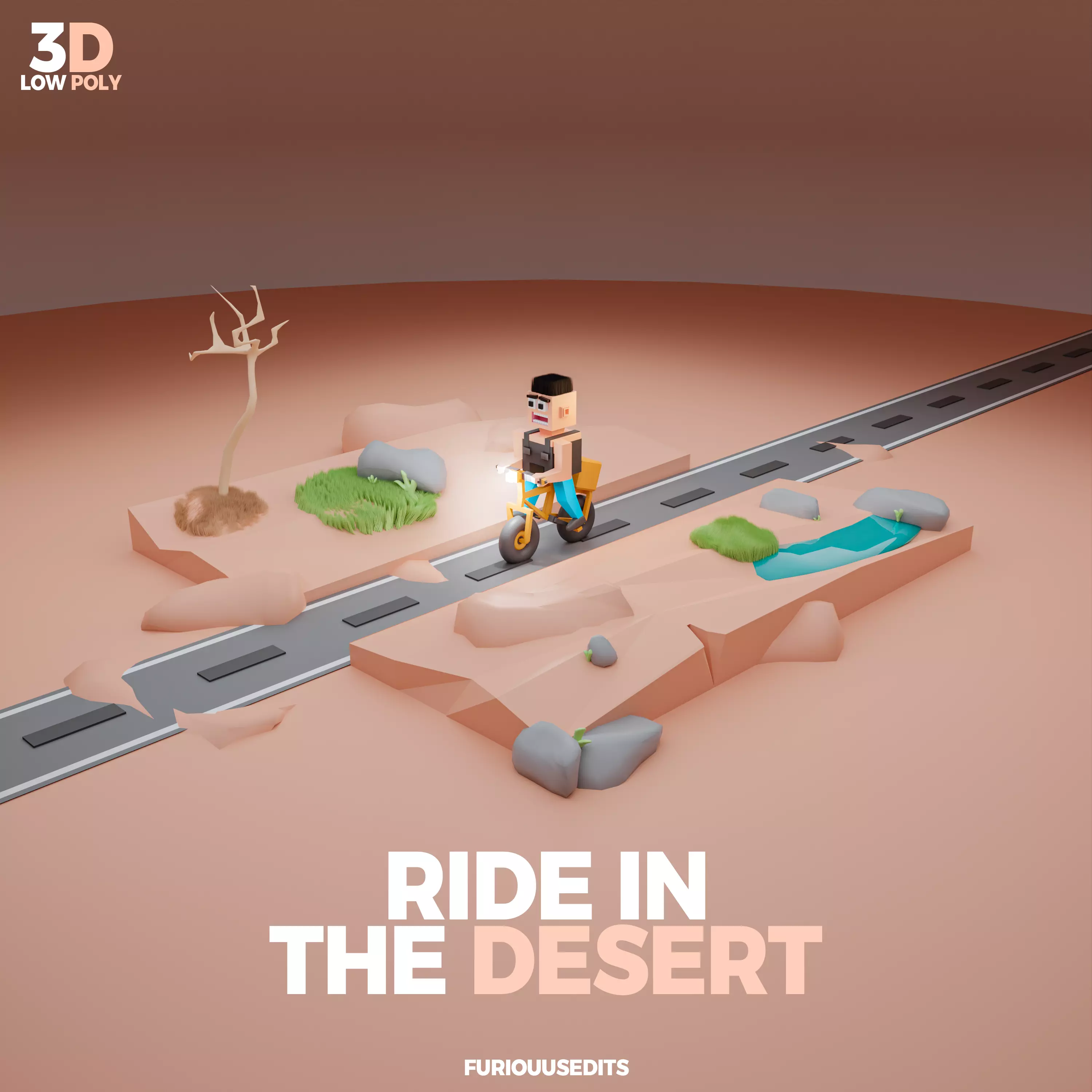 3D LOW POLY RIDE IN THE DESERT 3D model_0