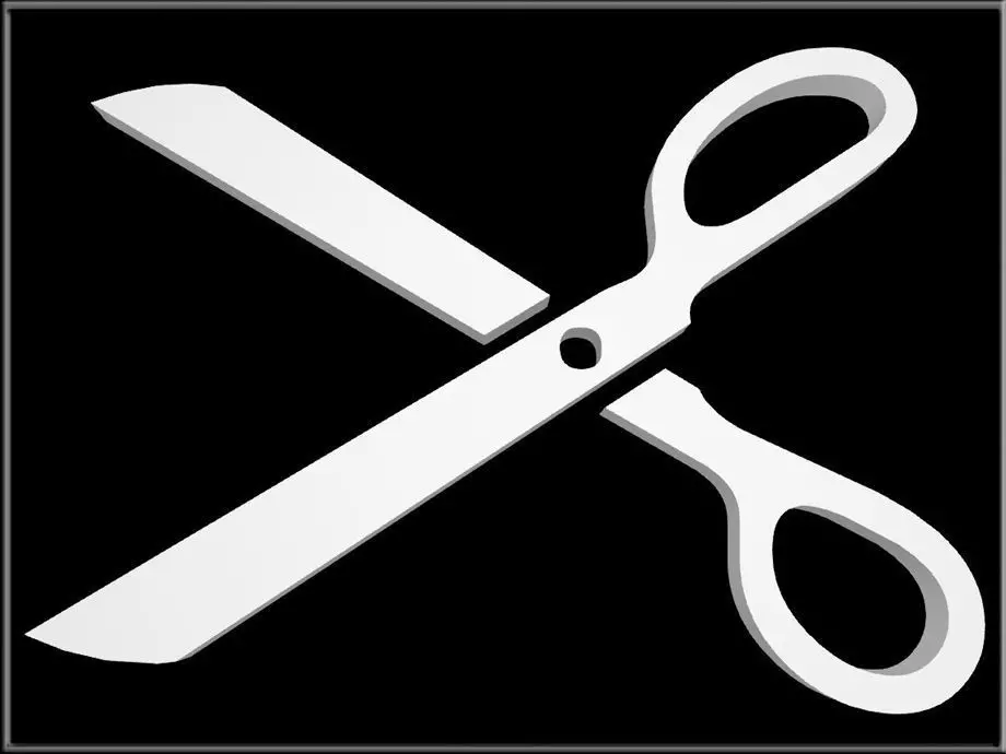 SCISSORS pair of Low-poly 3D model_0
