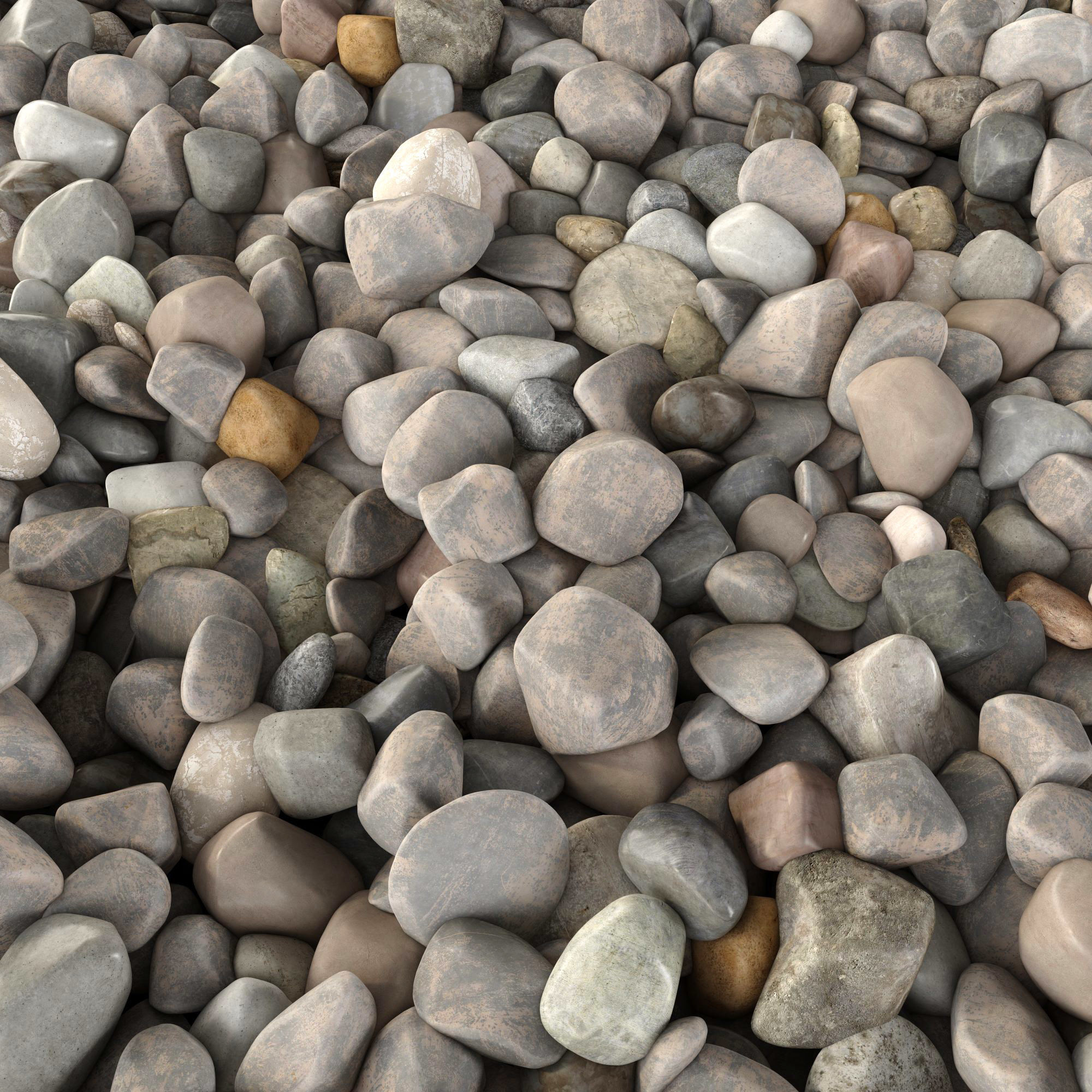 Pebble sea n3 3D model_6