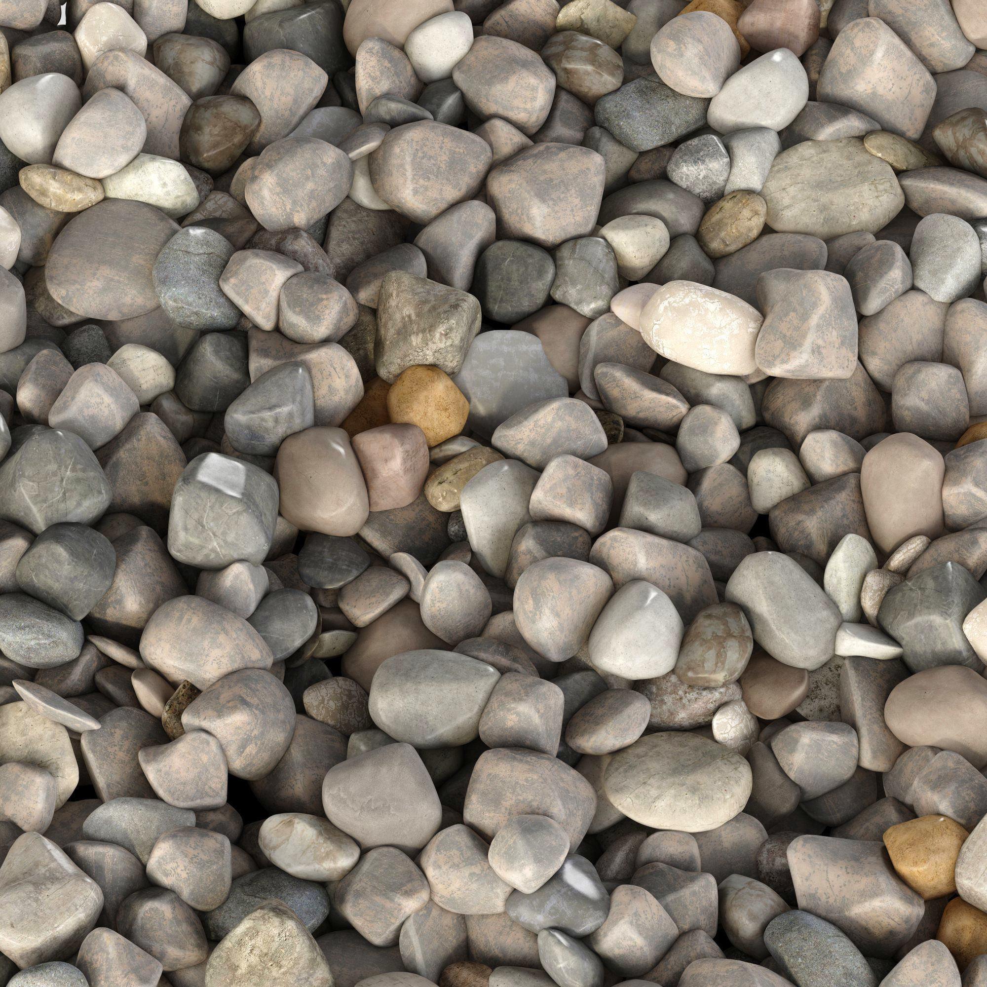 Pebble sea n3 3D model_5