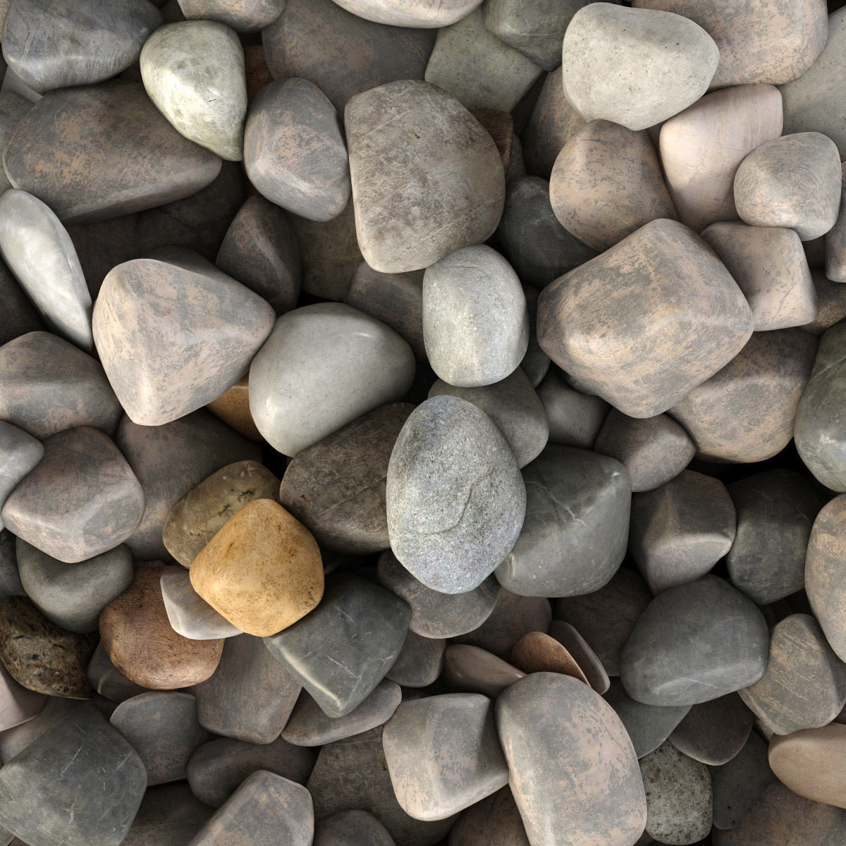 Pebble sea n3 3D model_1