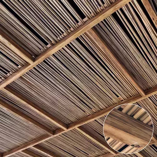 Ceiling straight thin branch n4