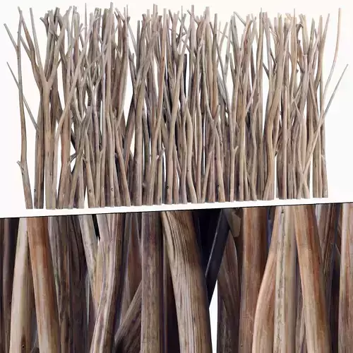 Branch screen sang n1 3D model