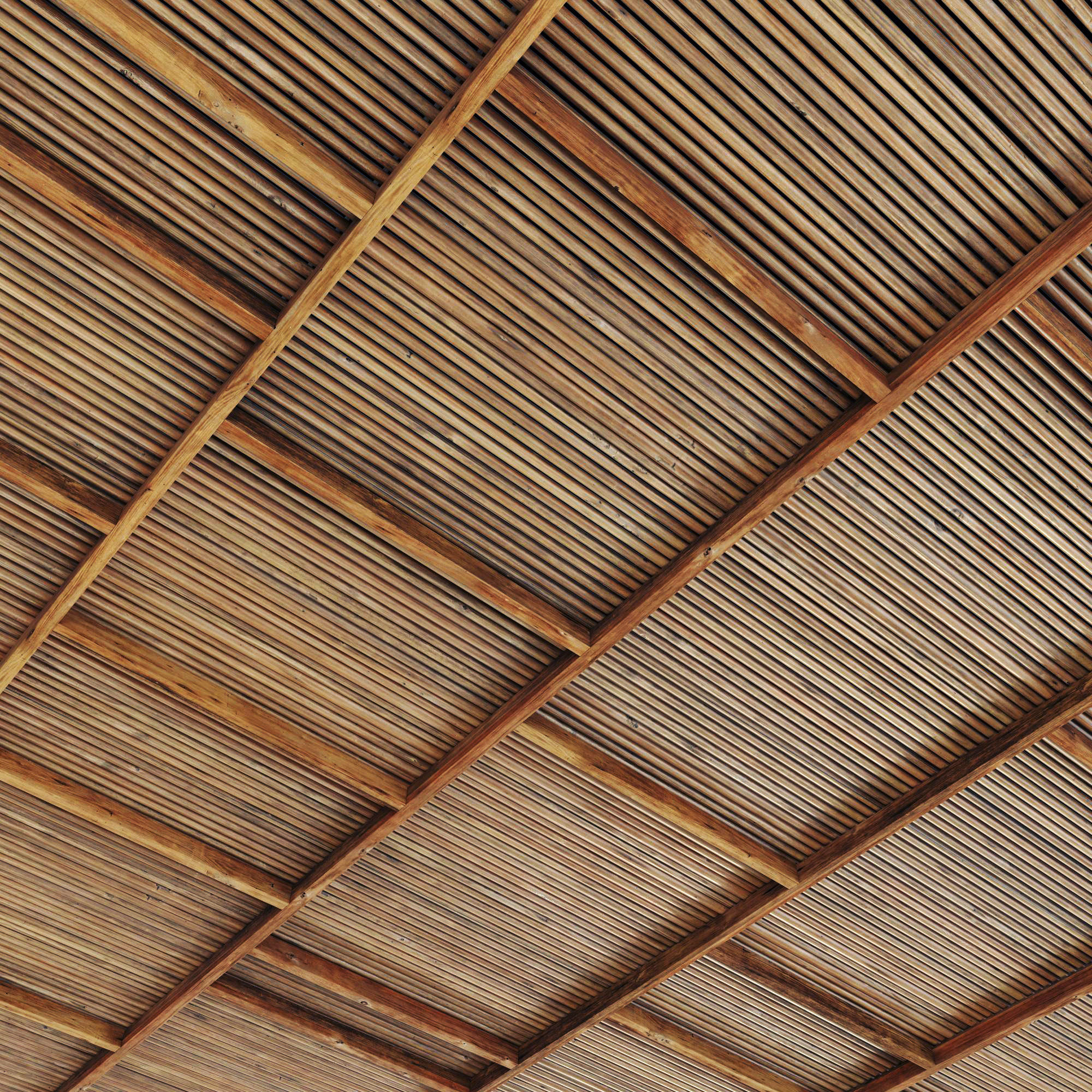 Ceiling straight thin branch n6 3D model_3