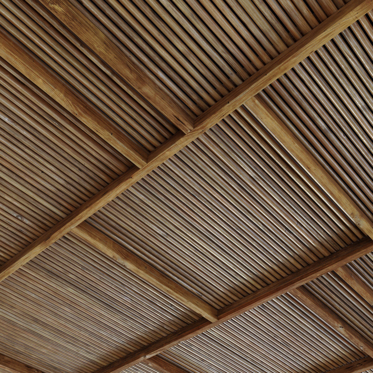 Ceiling straight thin branch n6 3D model_7