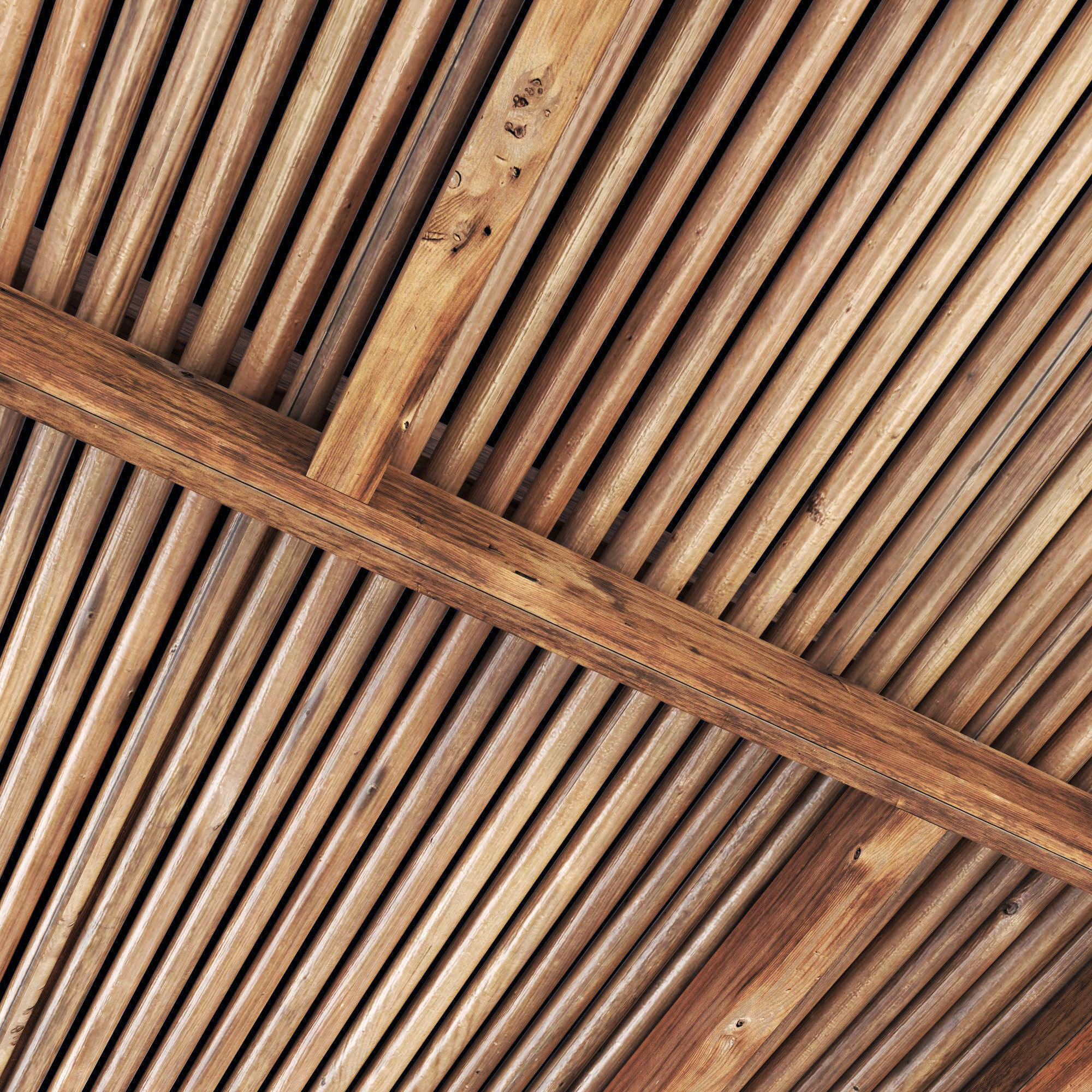 Ceiling straight thin branch n6 3D model_1