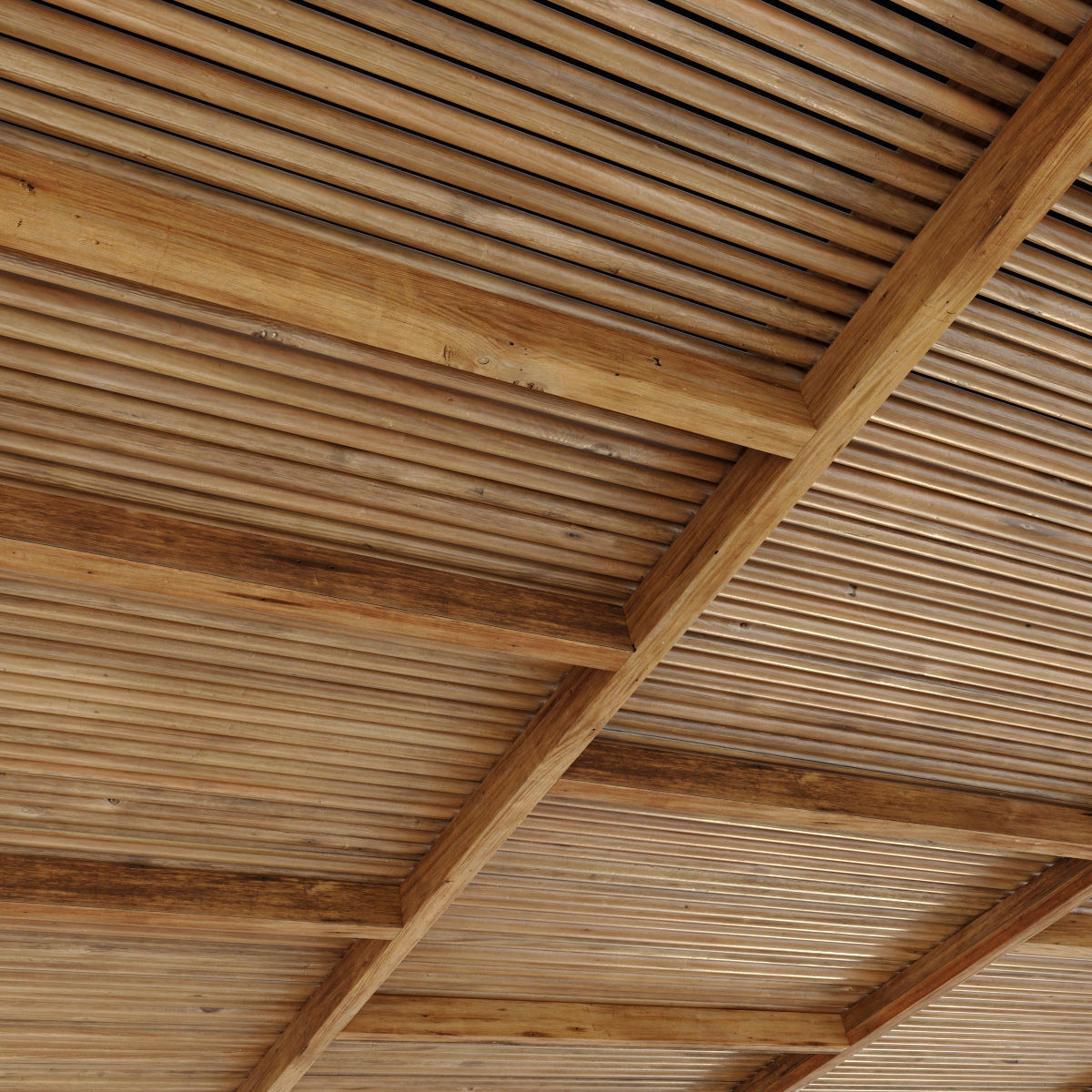 Ceiling straight thin branch n6 3D model_8