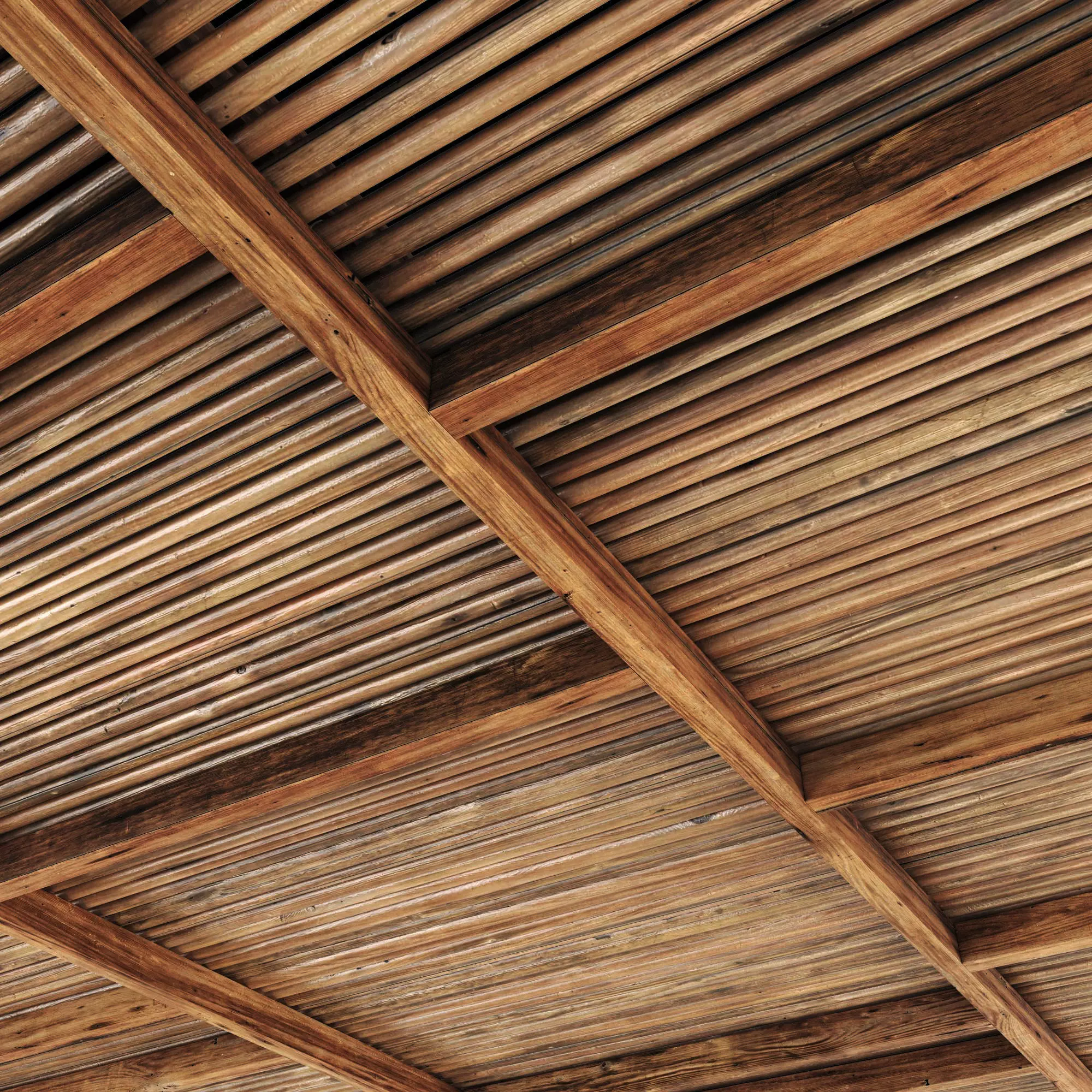 Ceiling straight thin branch n6 3D model_0