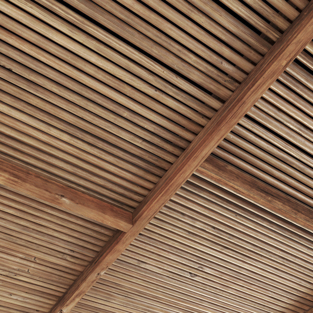 Ceiling straight thin branch n6 3D model_4