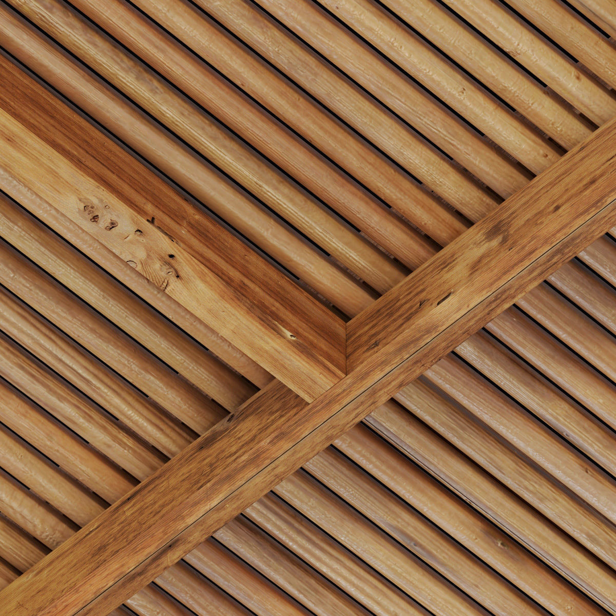 Ceiling straight thin branch n6 3D model_6