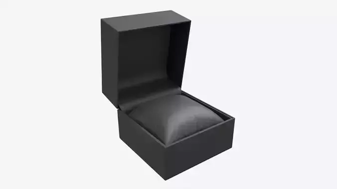 Wristwatch Box with Pillow