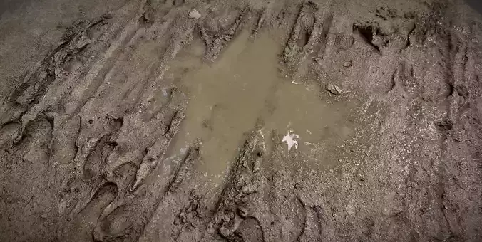 Mud puddle