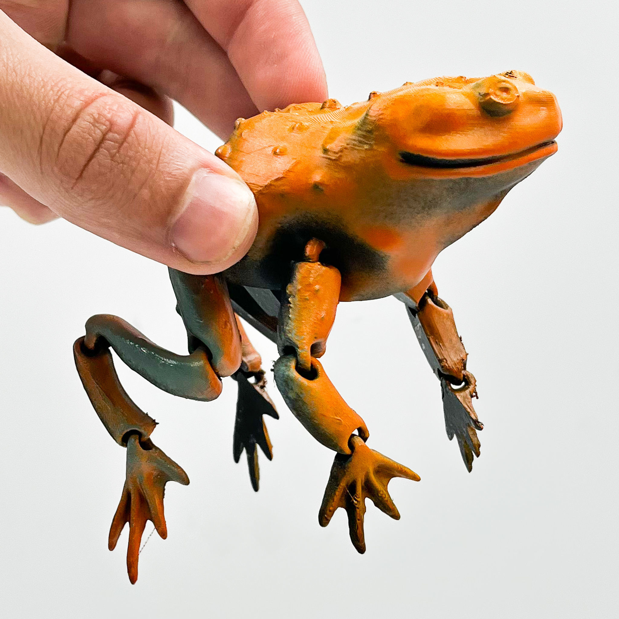 Flexi Toad Frog articulated print-in-place no supports 3D print model_2