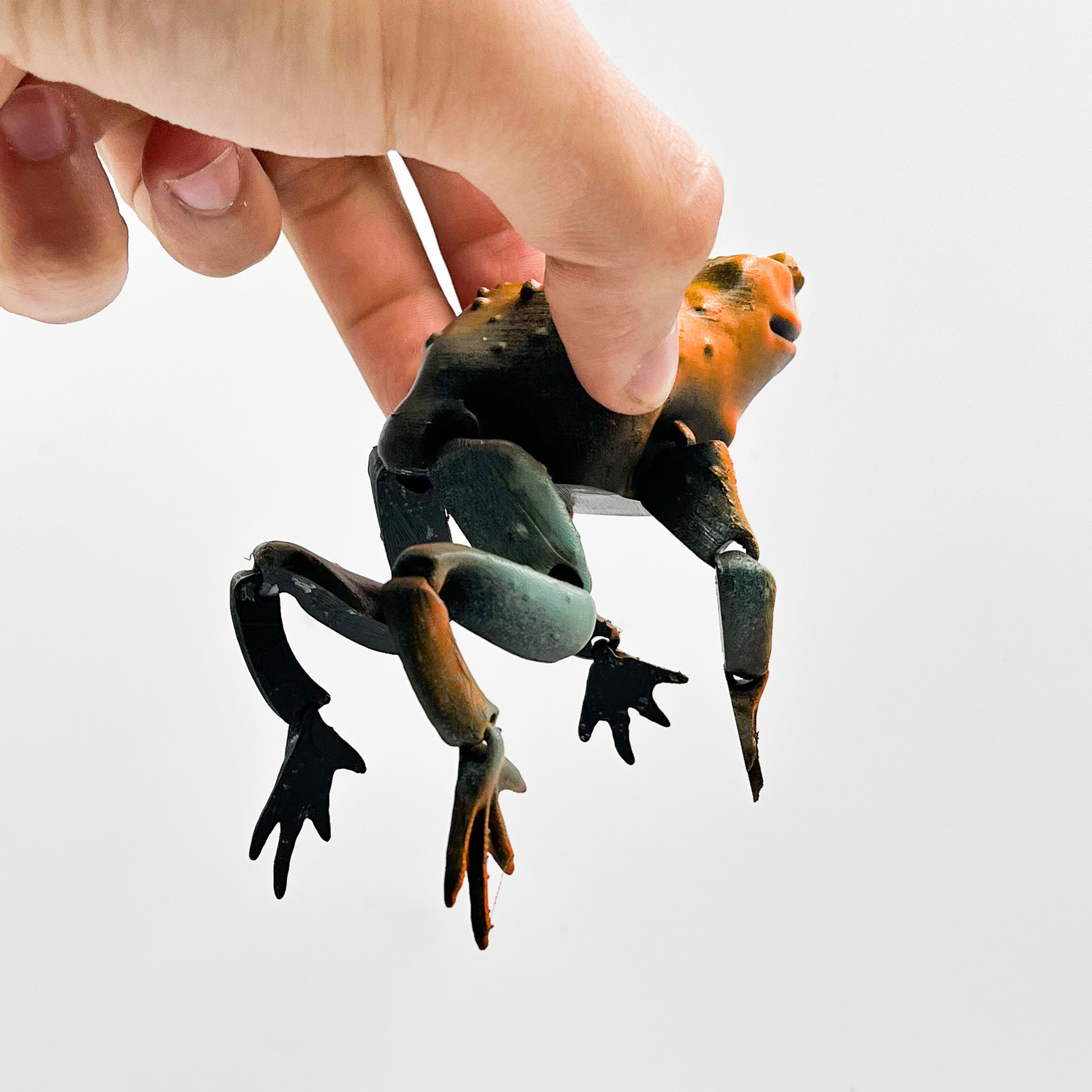 Flexi Toad Frog articulated print-in-place no supports 3D print model_4