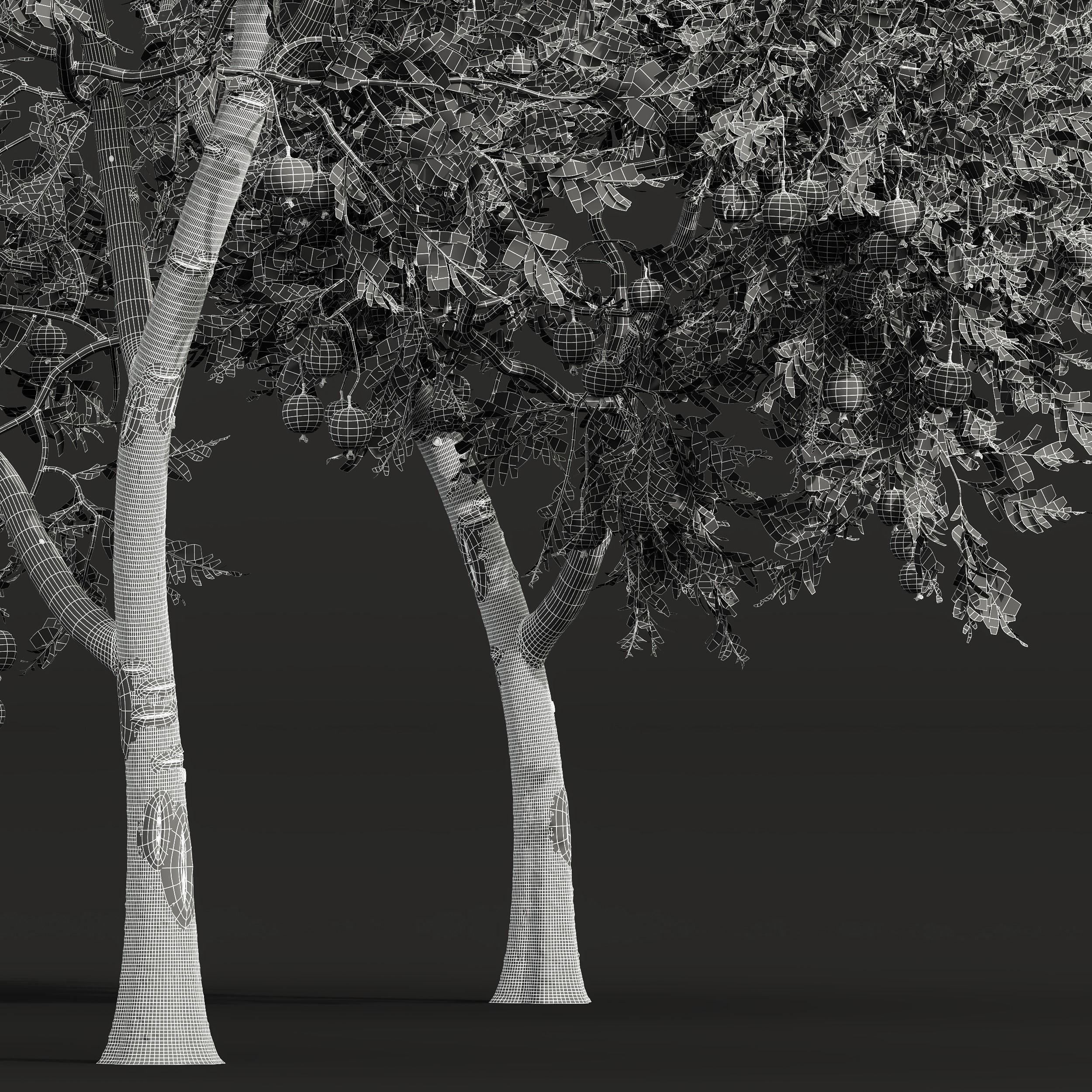 Punica Granatum Pomegranate Prunus Salicina Plum Pflaume 3D model_5