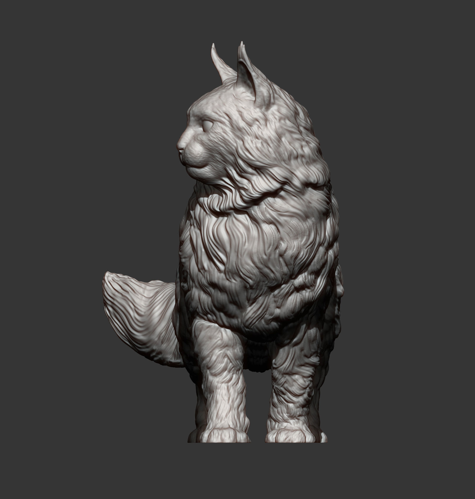 Maine Coon 3D print model_6